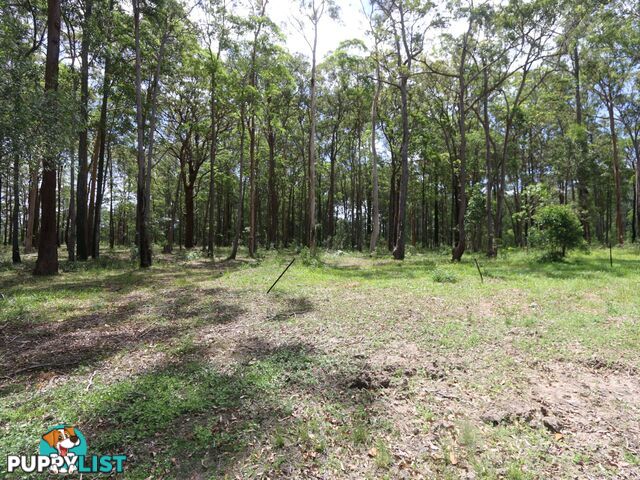 Lot 6 West Street WOOMBAH NSW 2469