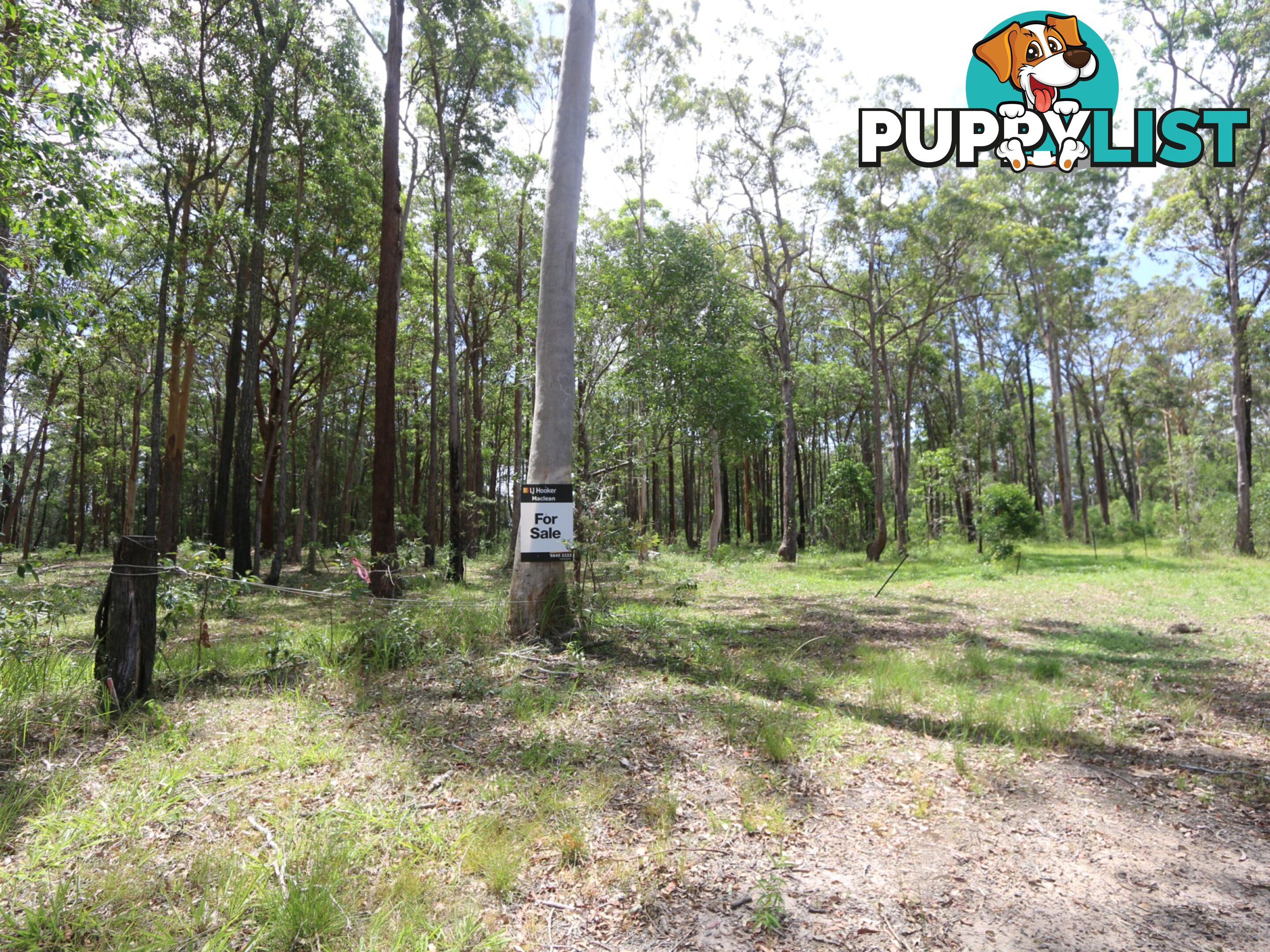 Lot 6 West Street WOOMBAH NSW 2469