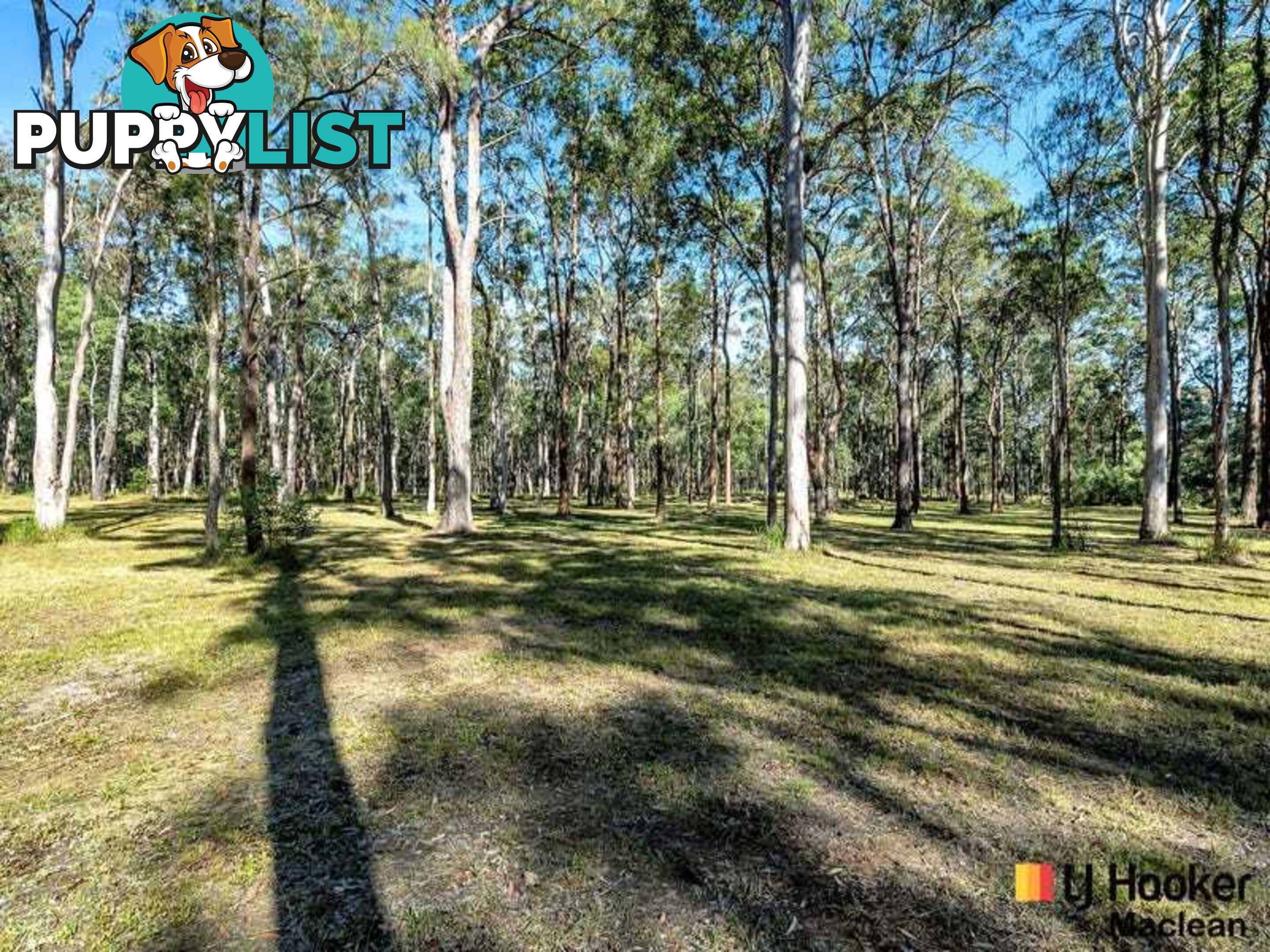 194 Gardiners Road JAMES CREEK NSW 2463