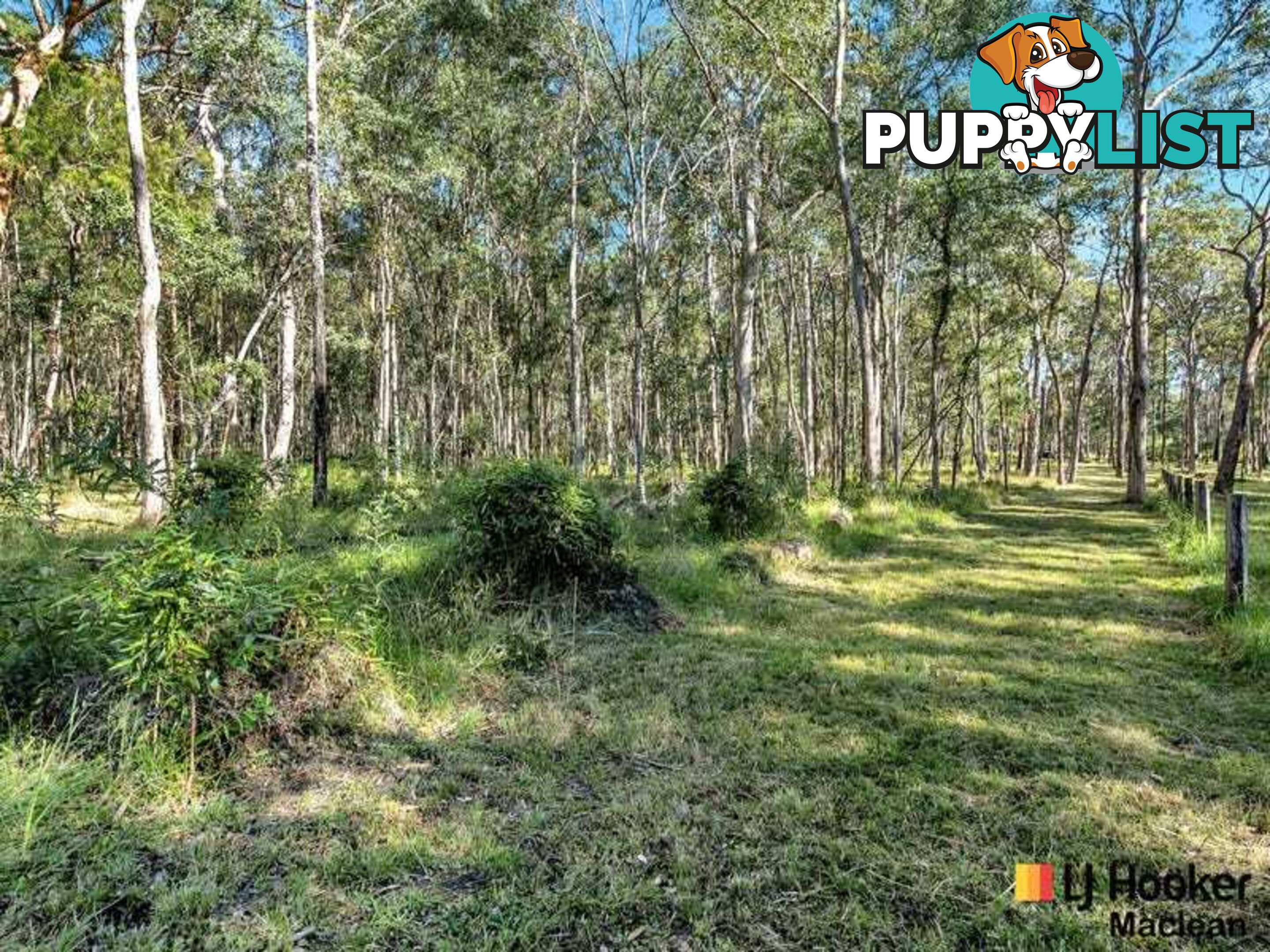 194 Gardiners Road JAMES CREEK NSW 2463