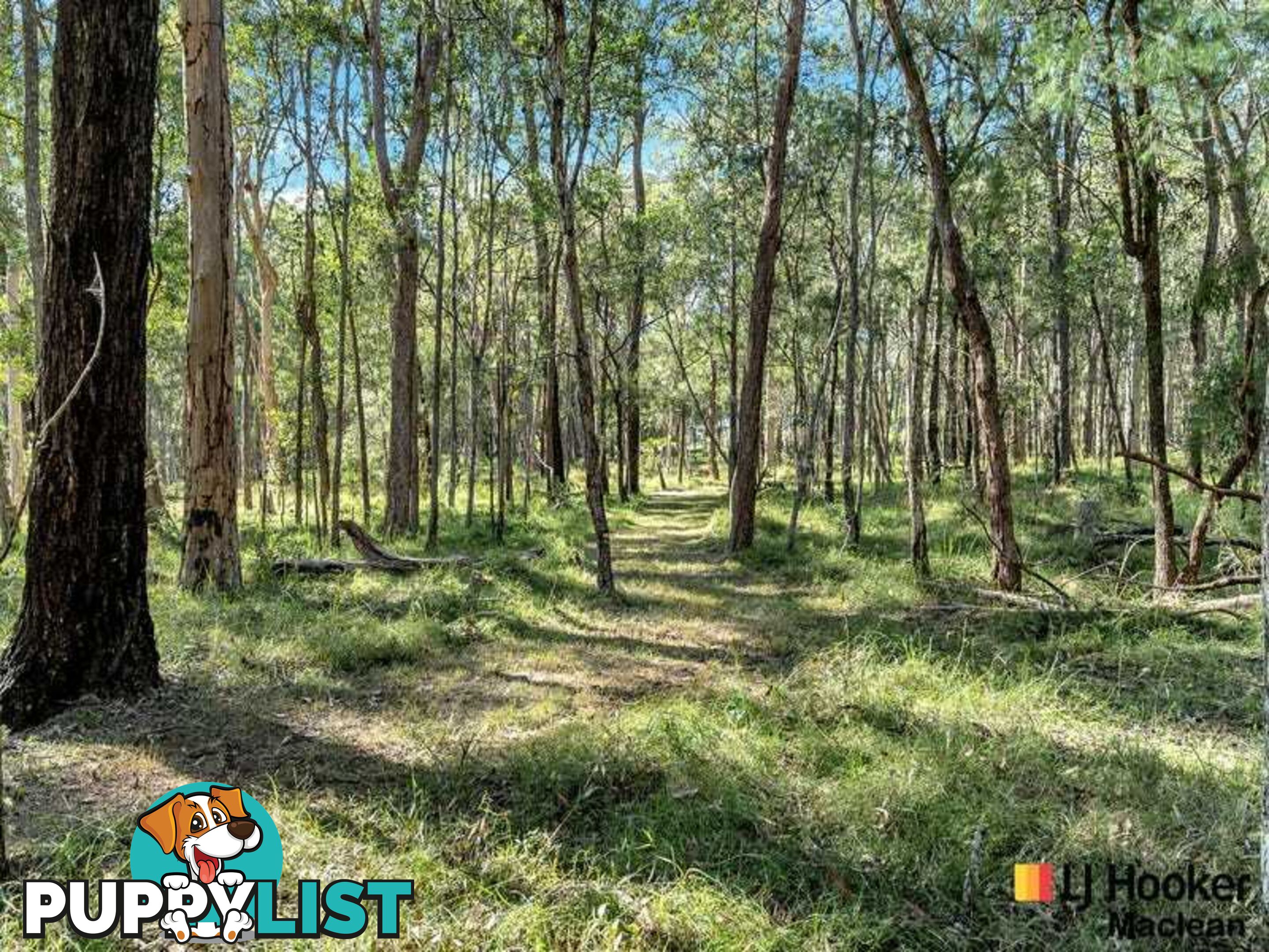 194 Gardiners Road JAMES CREEK NSW 2463