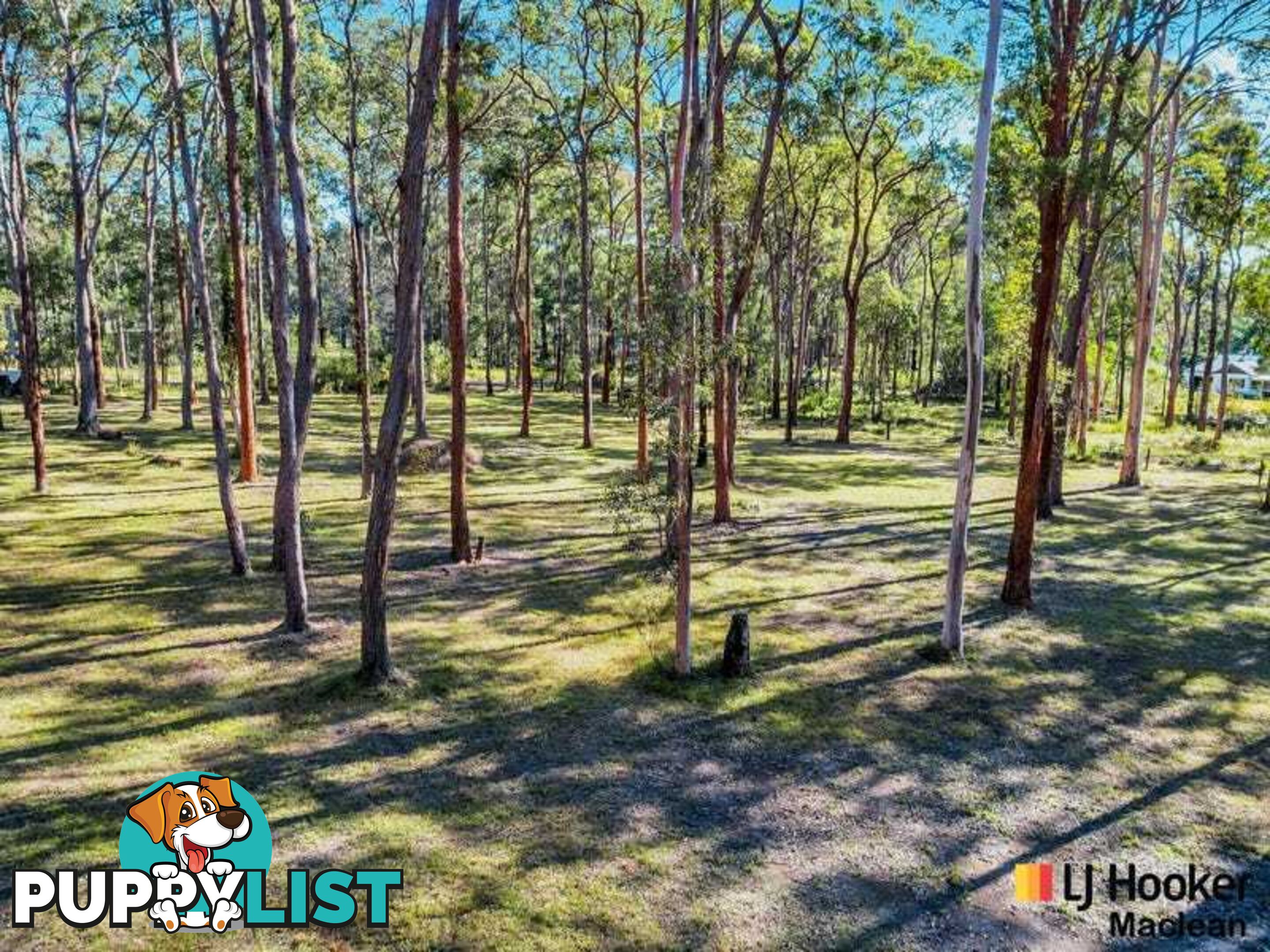 194 Gardiners Road JAMES CREEK NSW 2463