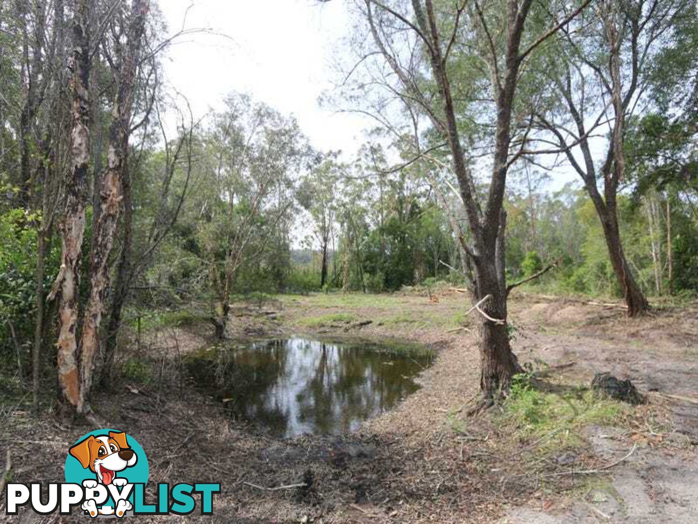 Lot 1 Pacific Highway MORORO NSW 2469