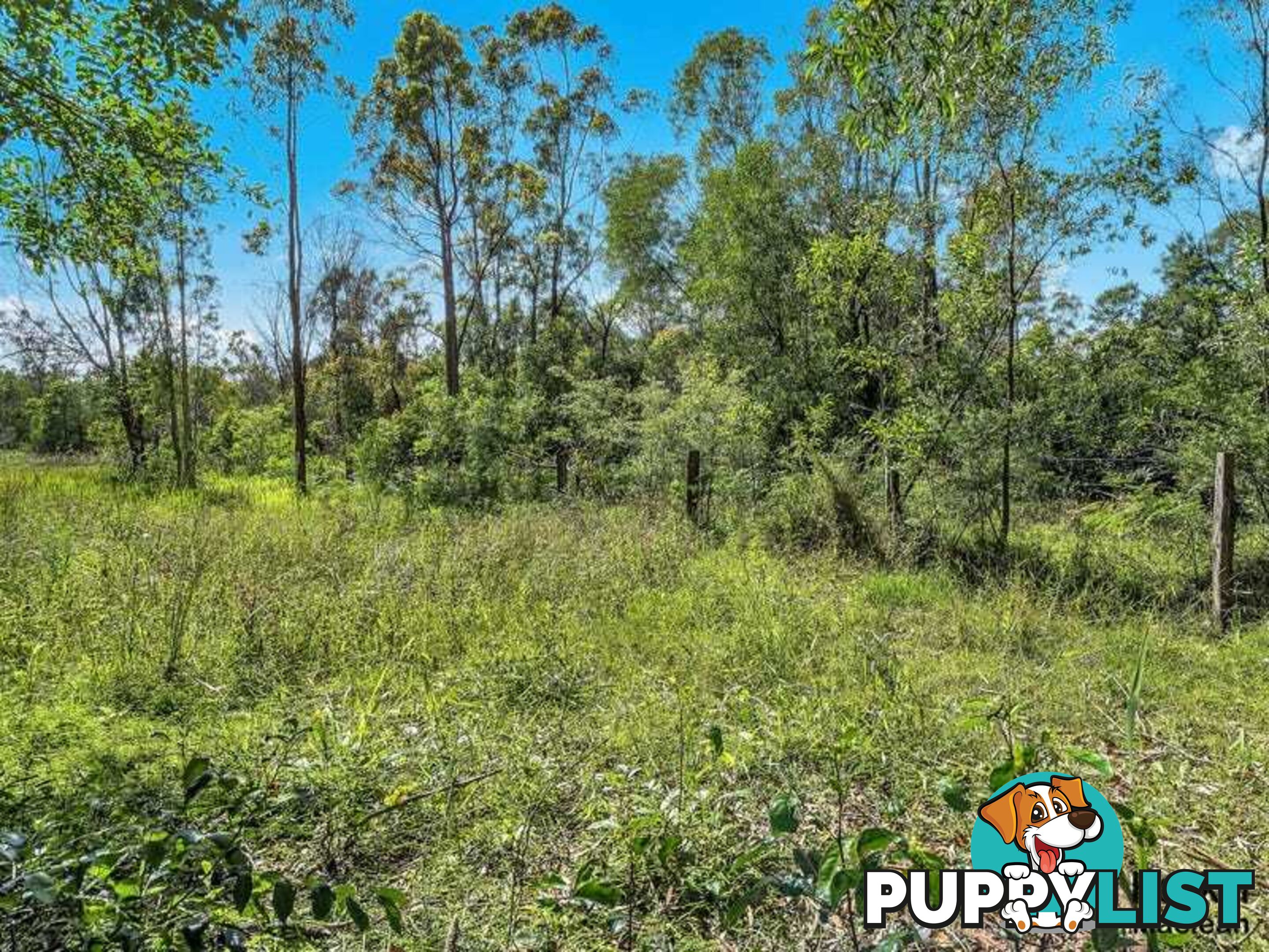 Lot 1 Pacific Highway MORORO NSW 2469