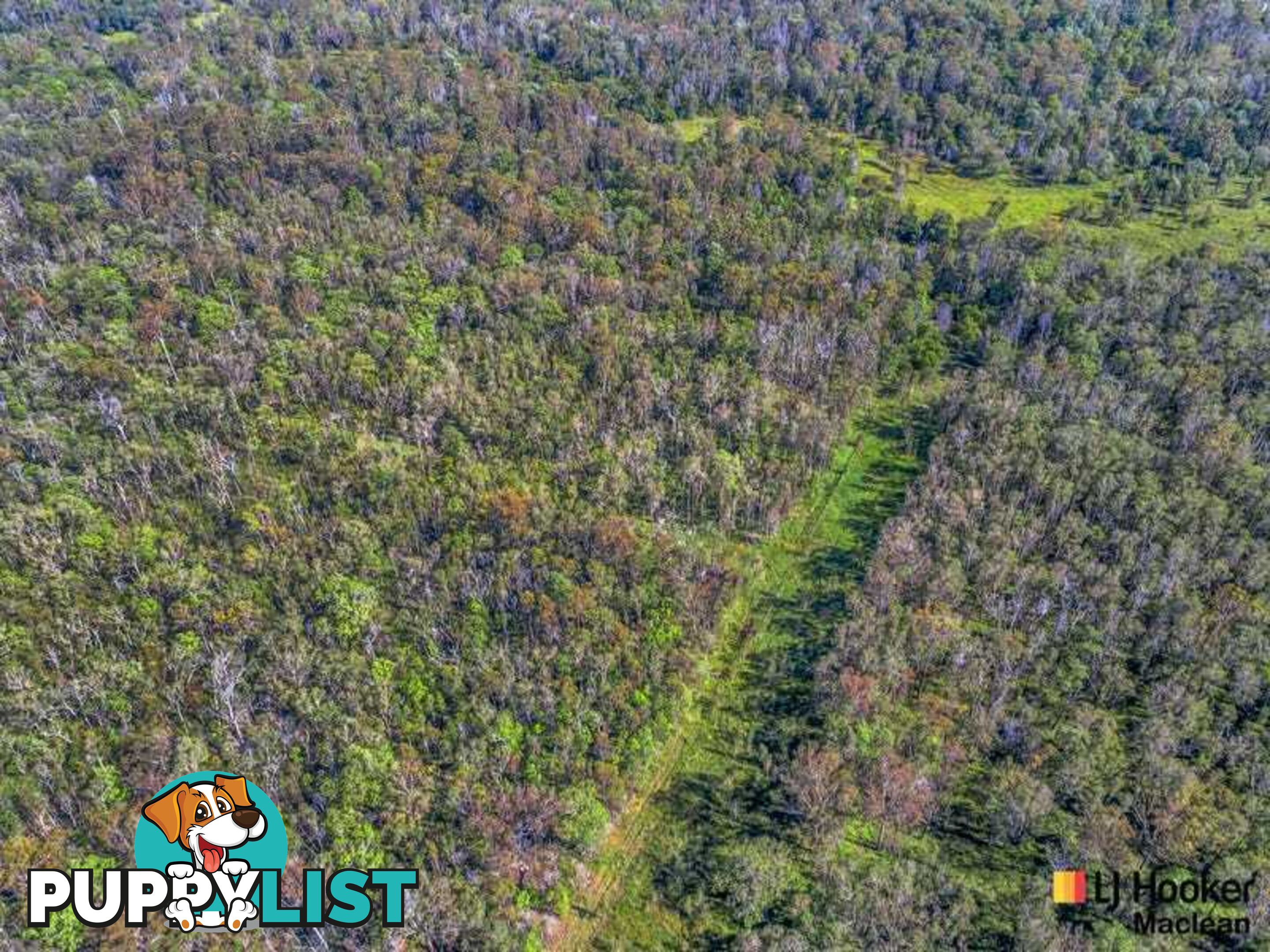 Lot 1 Pacific Highway MORORO NSW 2469