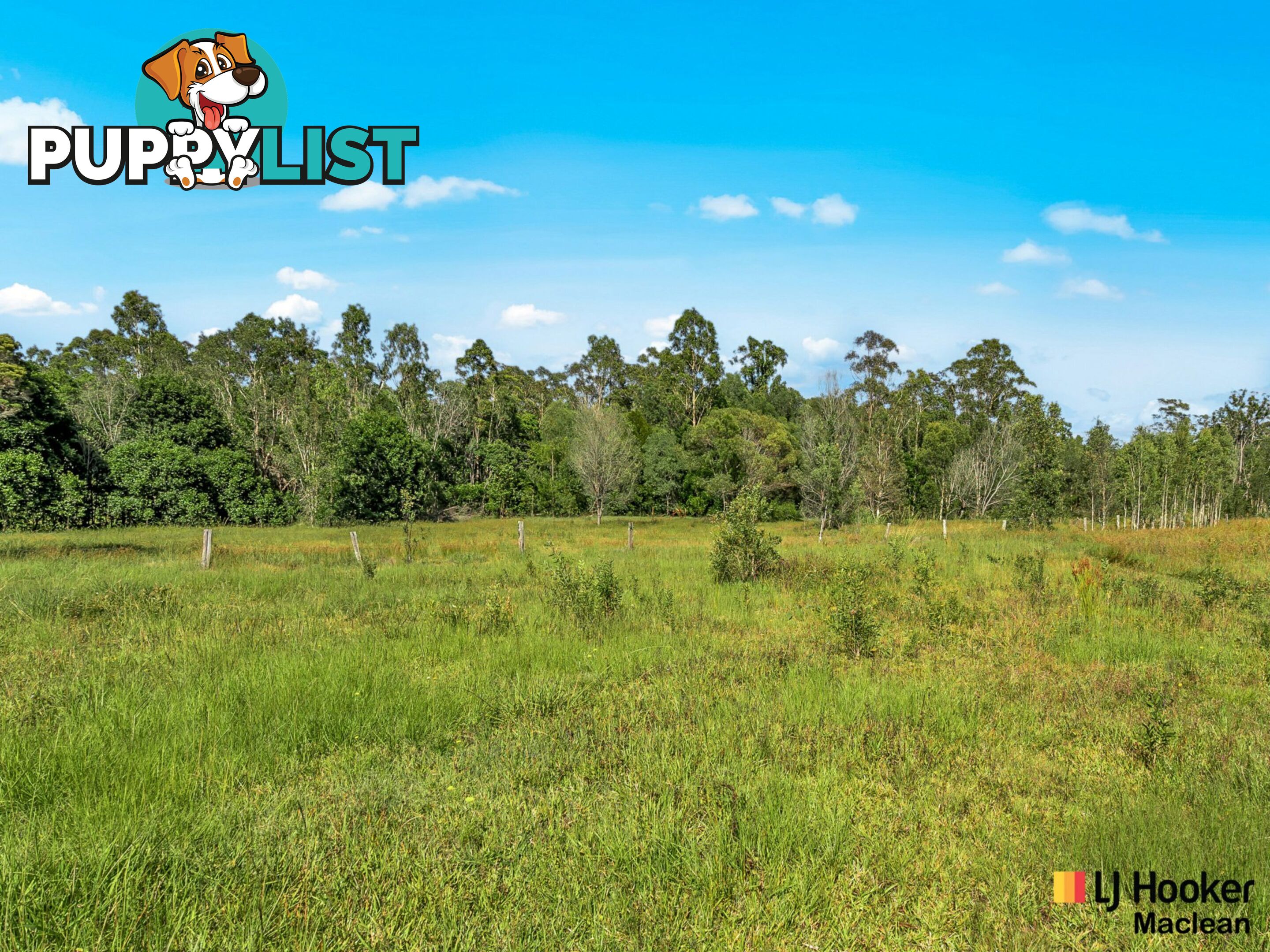 Lot 1 Pacific Highway MORORO NSW 2469