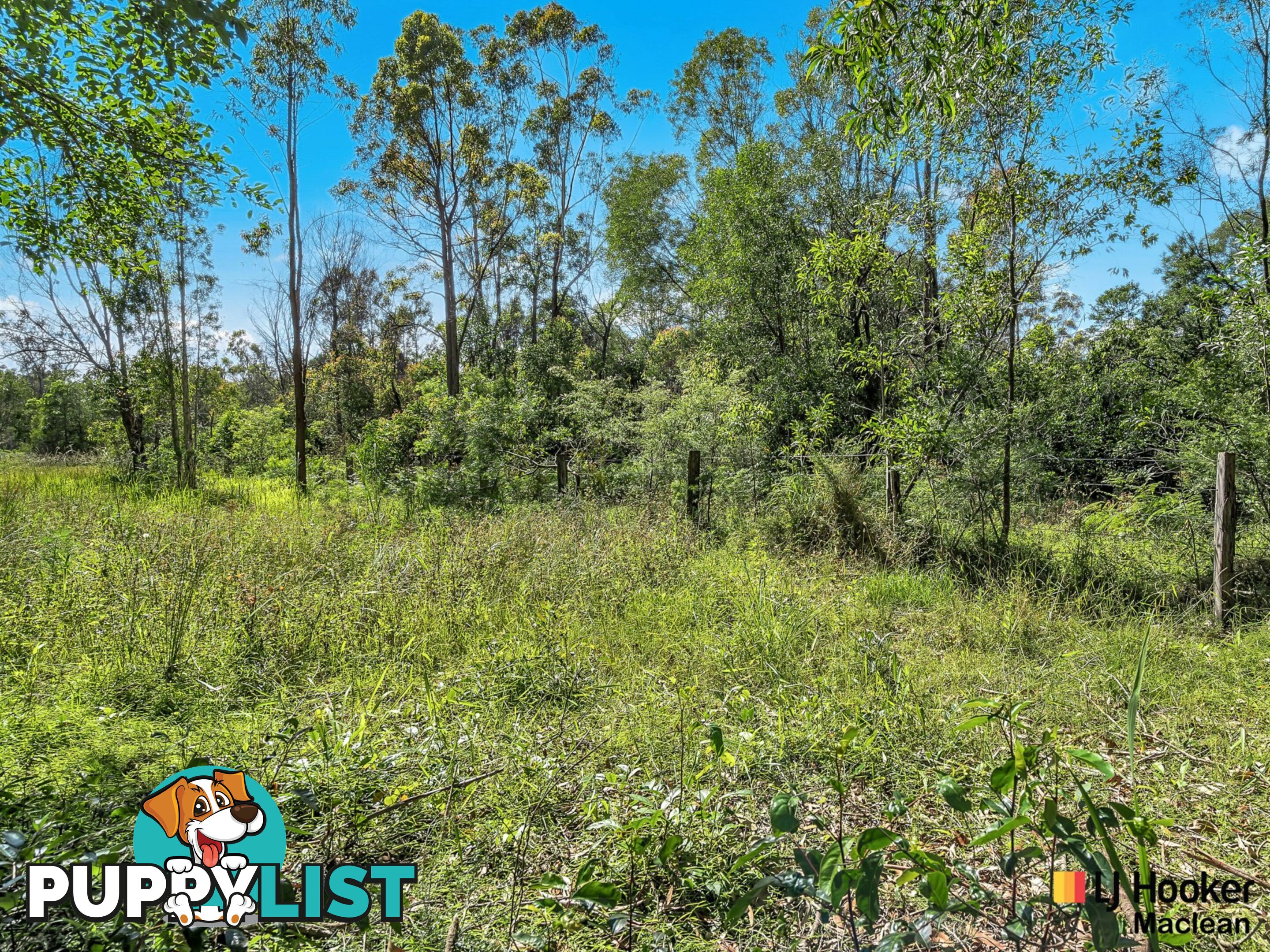 Lot 1 Pacific Highway MORORO NSW 2469