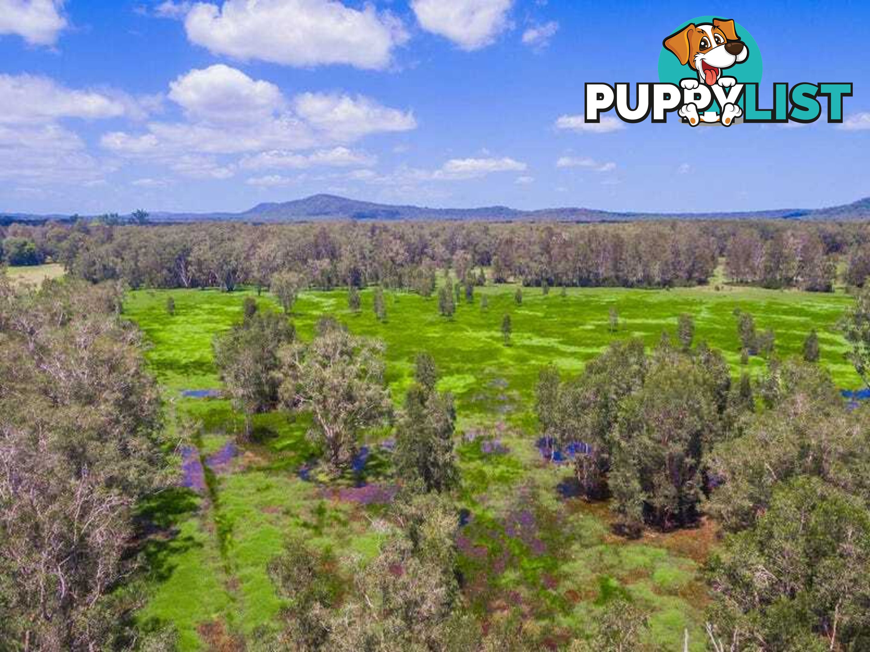 Lot 2 Byrons Lane TYNDALE NSW 2460