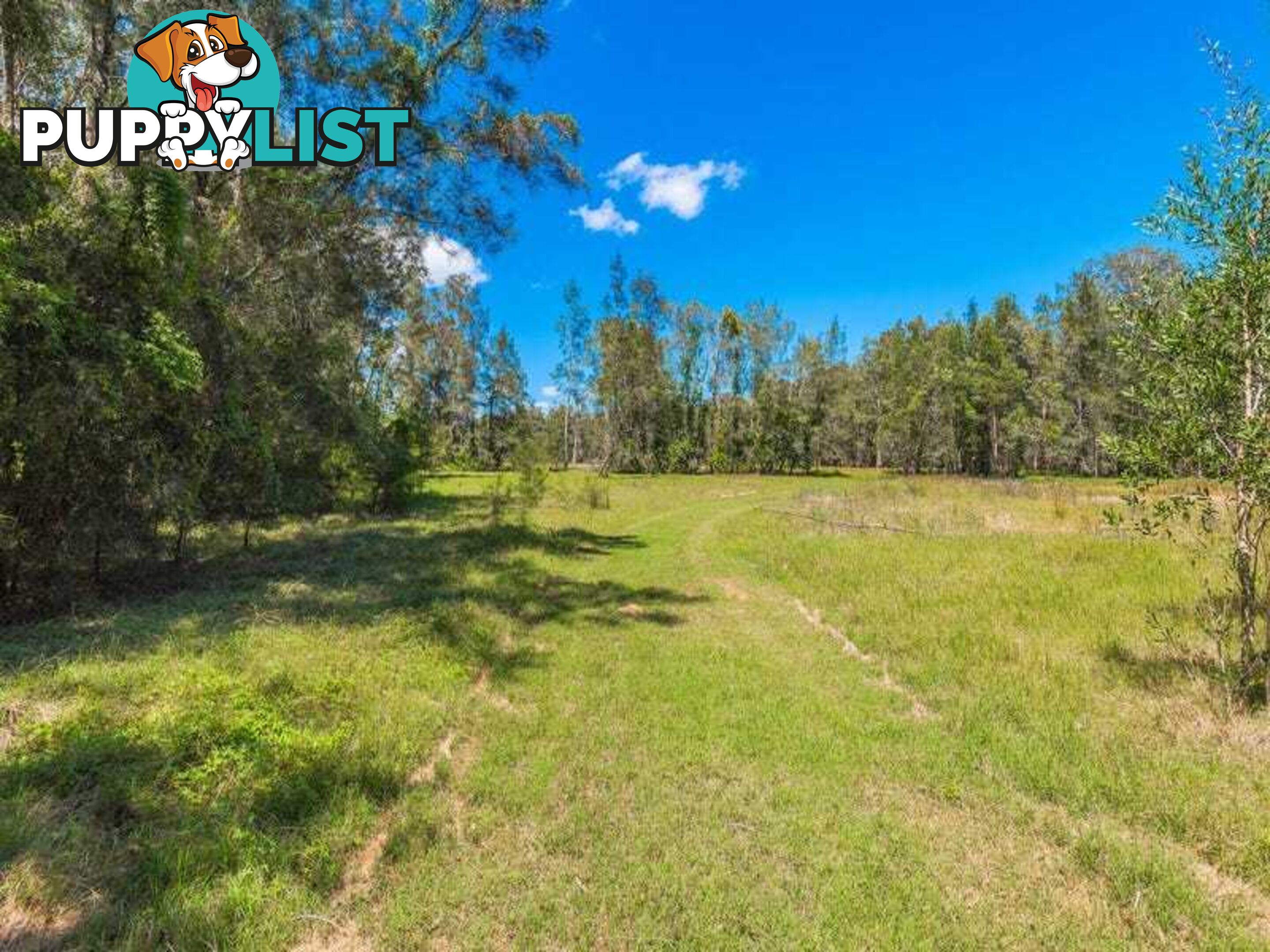 Lot 2 Byrons Lane TYNDALE NSW 2460