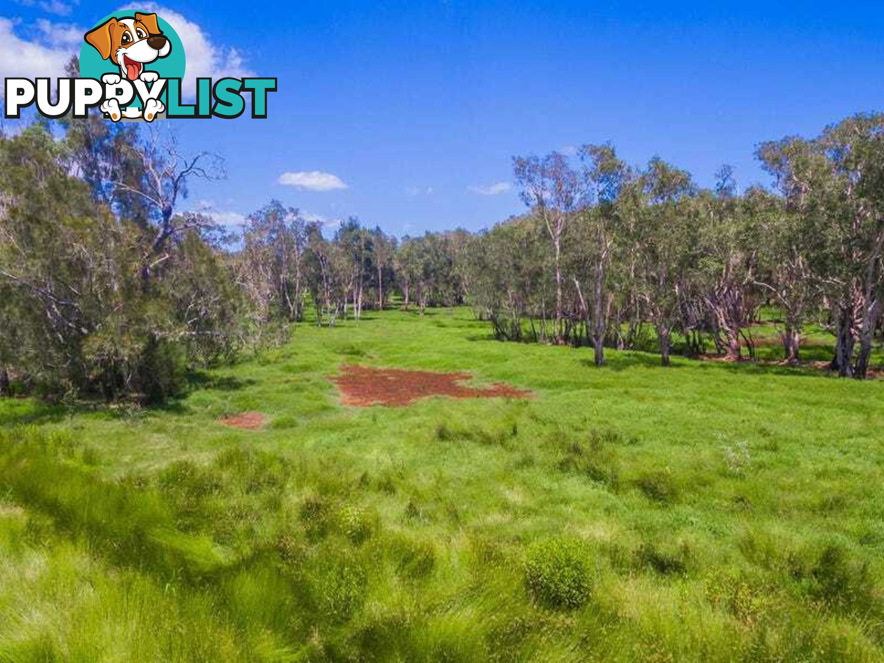 Lot 2 Byrons Lane TYNDALE NSW 2460