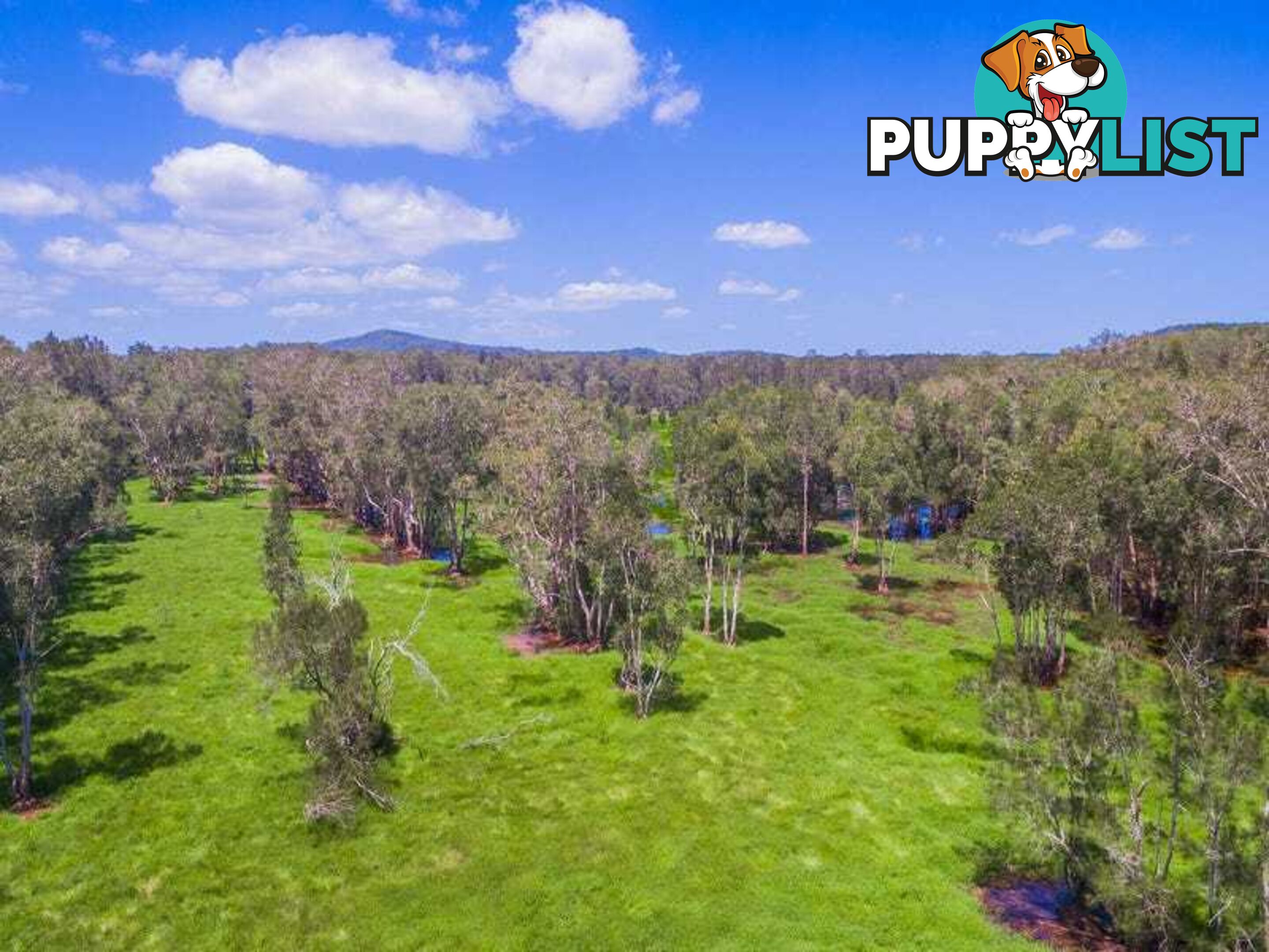 Lot 2 Byrons Lane TYNDALE NSW 2460