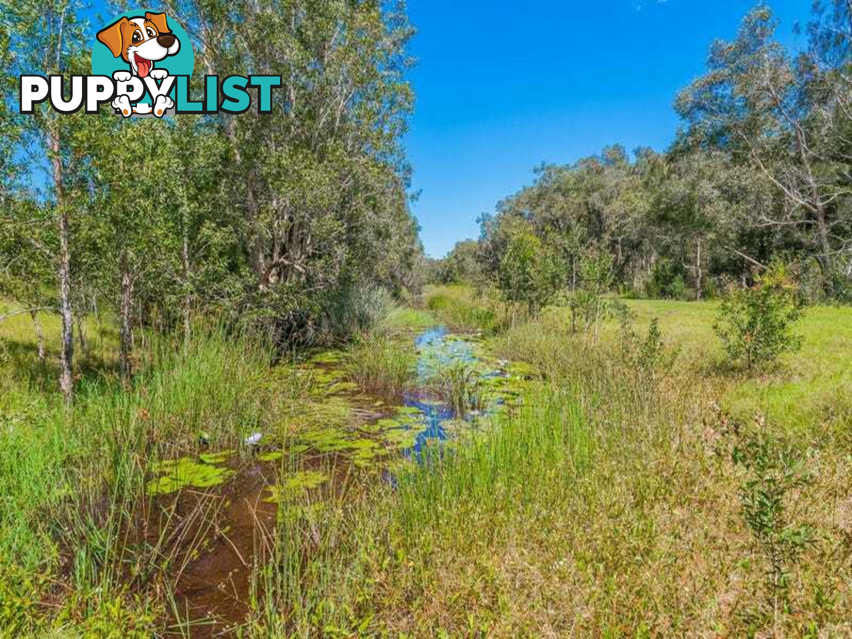 Lot 2 Byrons Lane TYNDALE NSW 2460