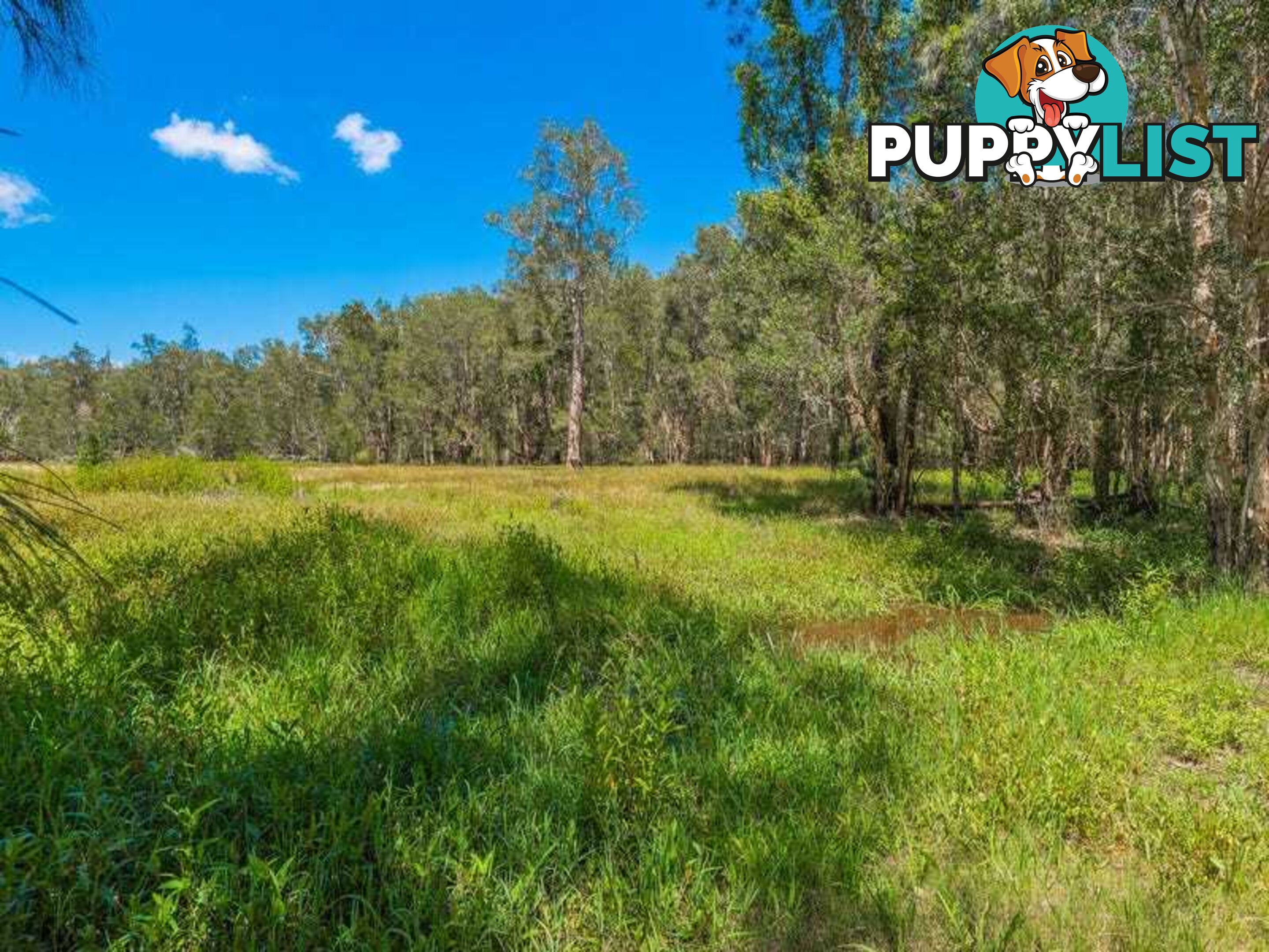 Lot 2 Byrons Lane TYNDALE NSW 2460