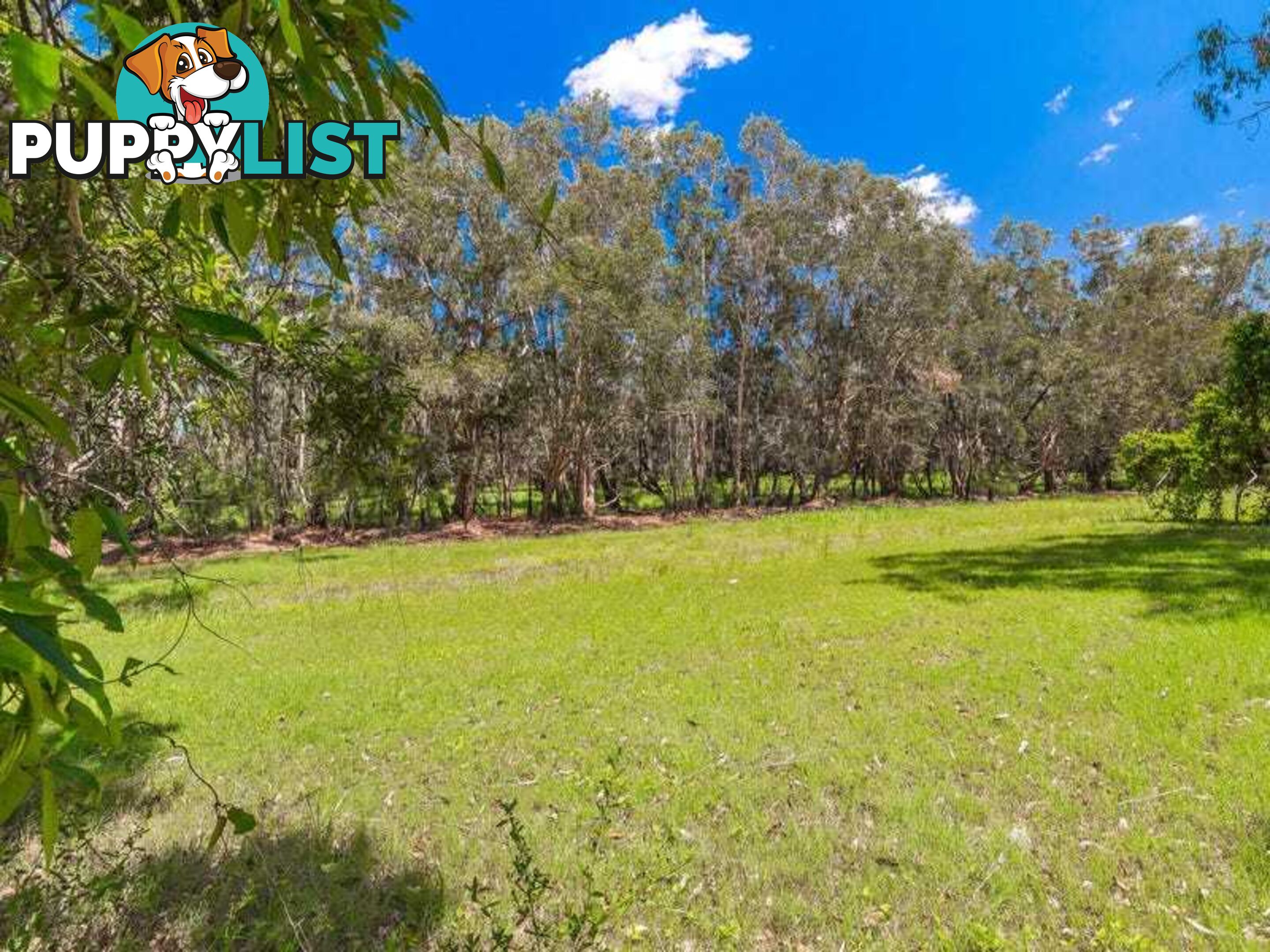 Lot 2 Byrons Lane TYNDALE NSW 2460