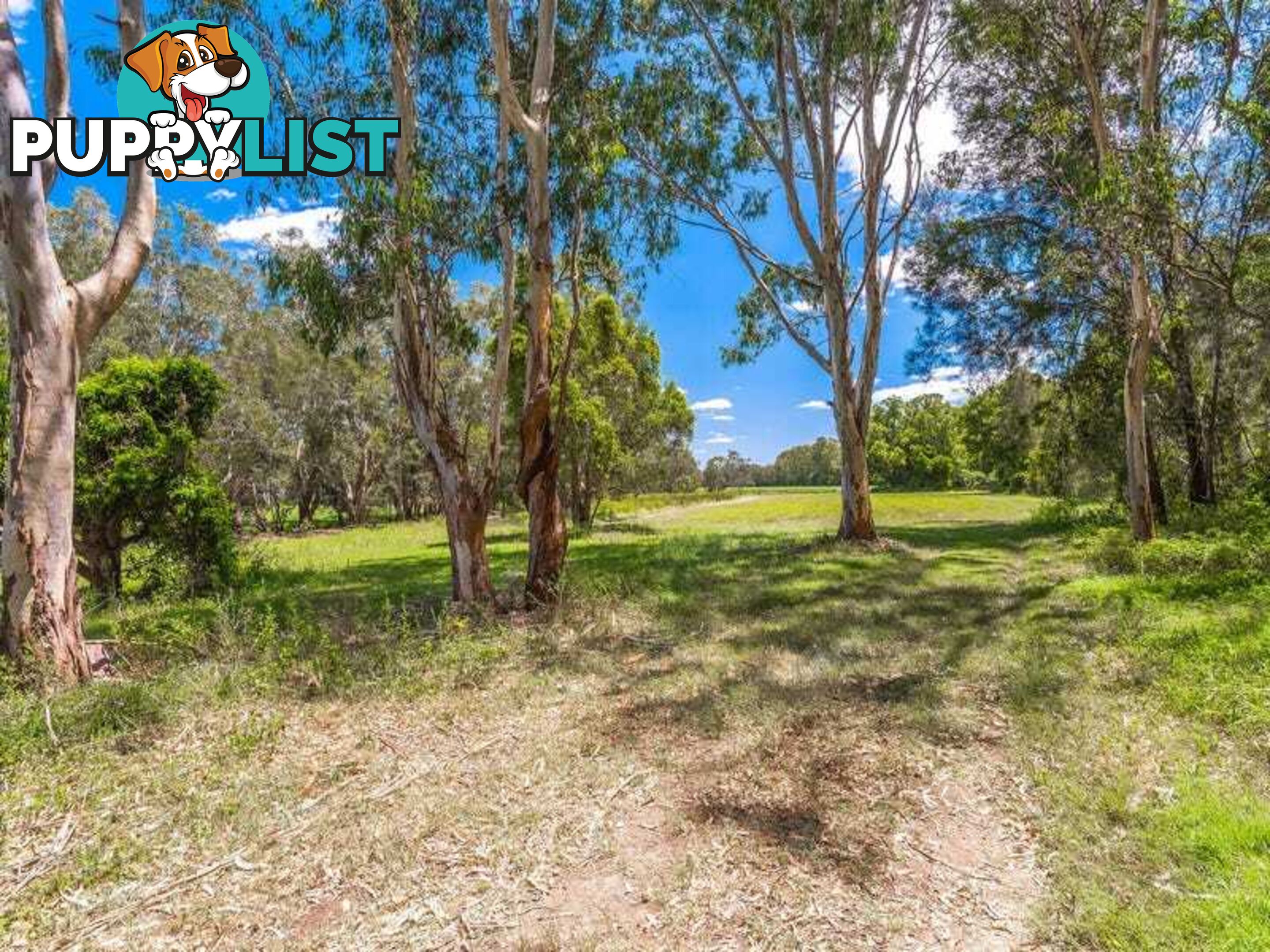 Lot 2 Byrons Lane TYNDALE NSW 2460