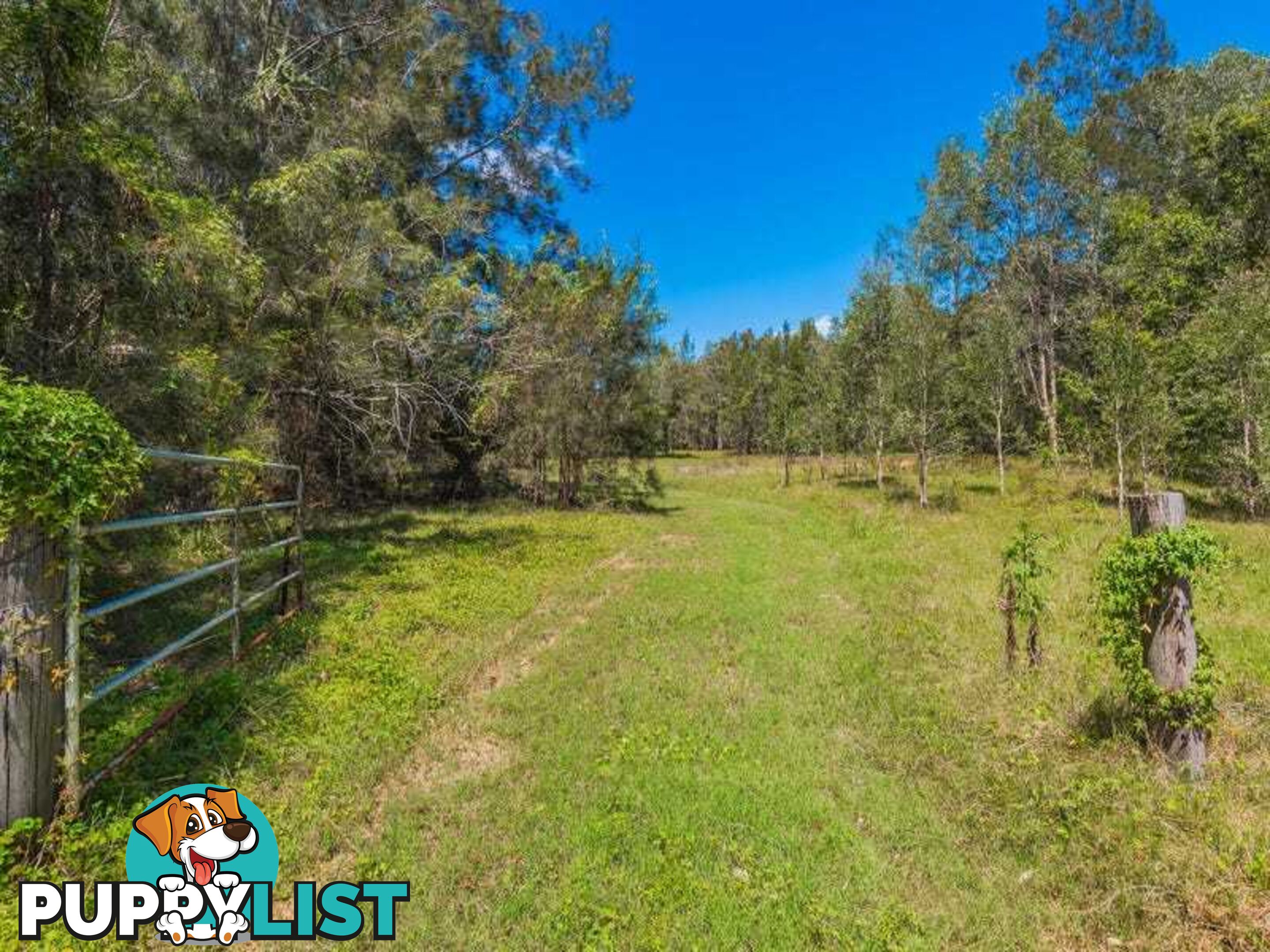 Lot 2 Byrons Lane TYNDALE NSW 2460