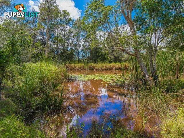 Lot 2 Byrons Lane TYNDALE NSW 2460