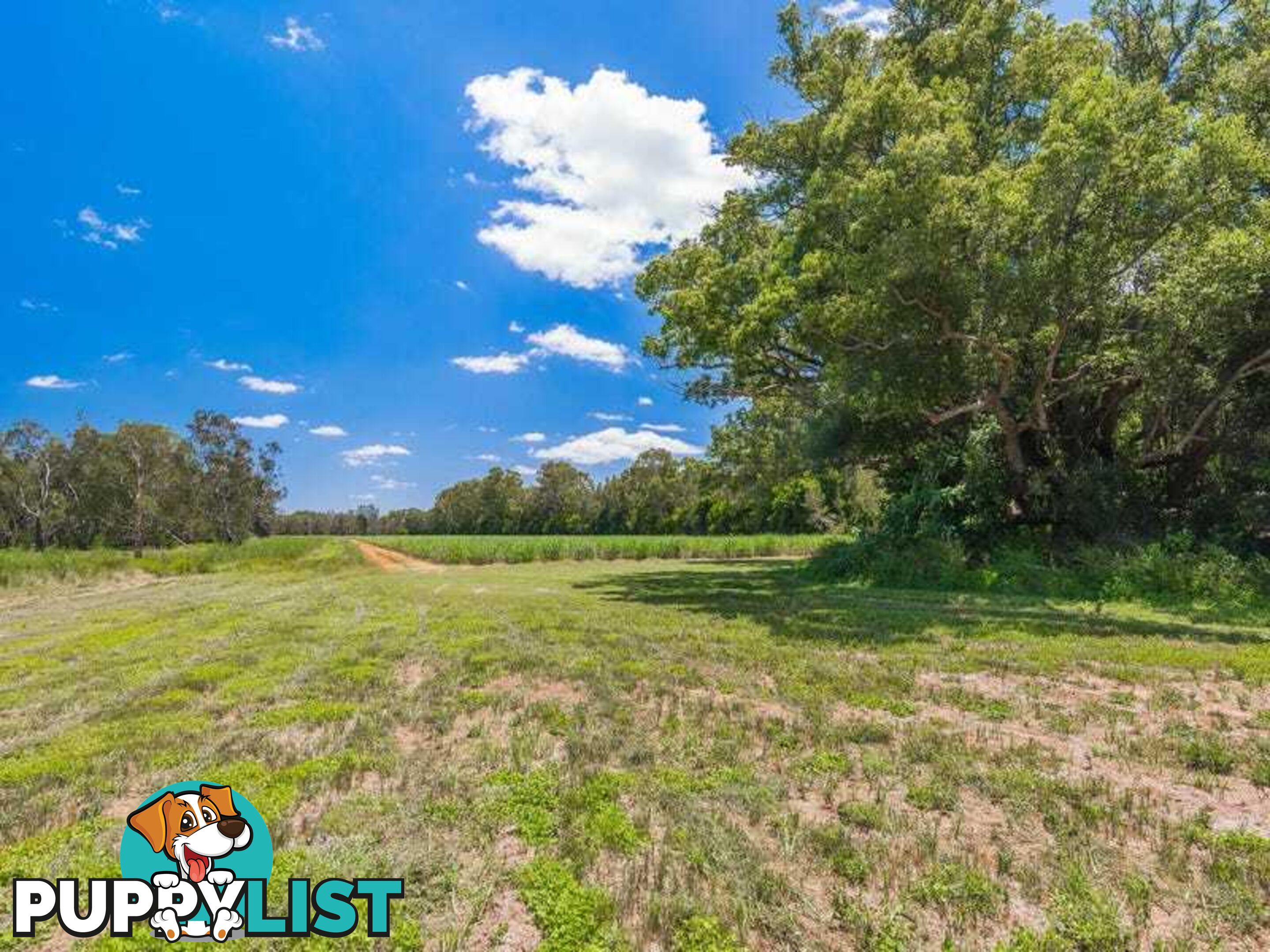 Lot 2 Byrons Lane TYNDALE NSW 2460