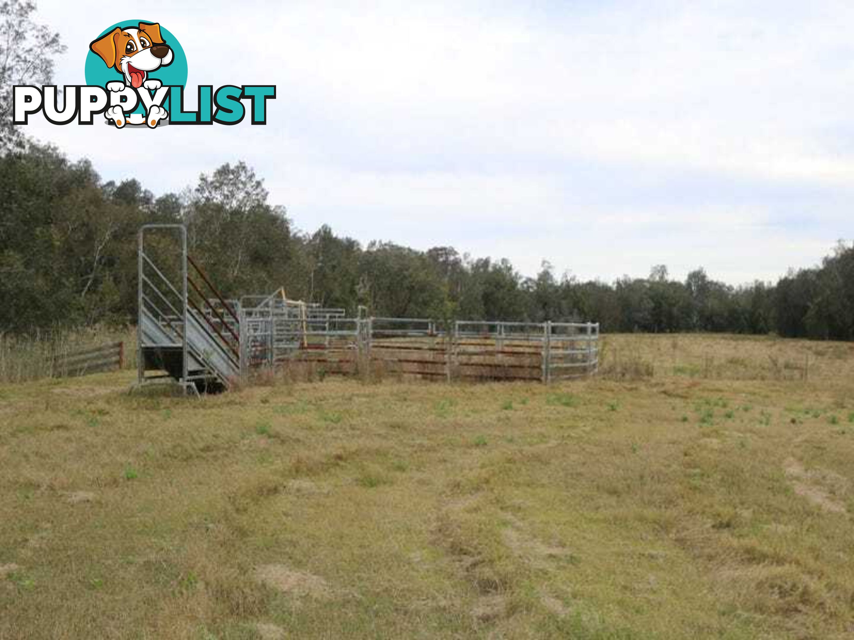 Lot 2 Byrons Lane TYNDALE NSW 2460