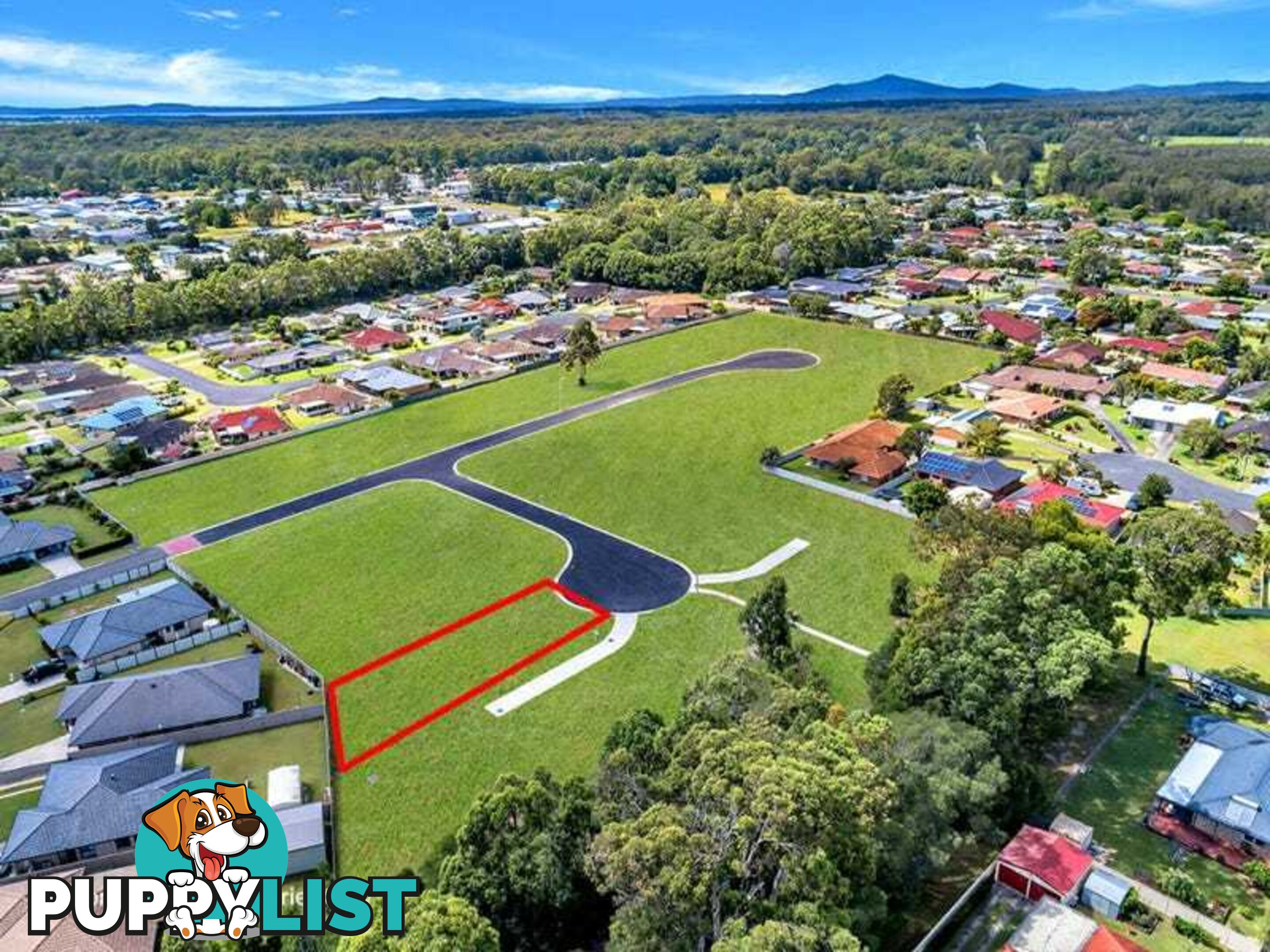 6 Dunkeld Place TOWNSEND NSW 2463