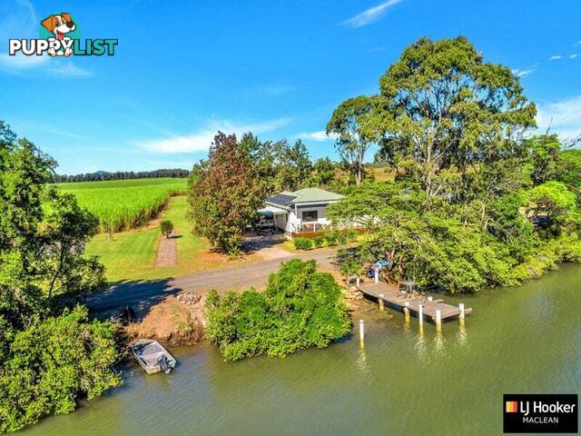 282 Serpentine Channel South Bank Road HARWOOD NSW 2465