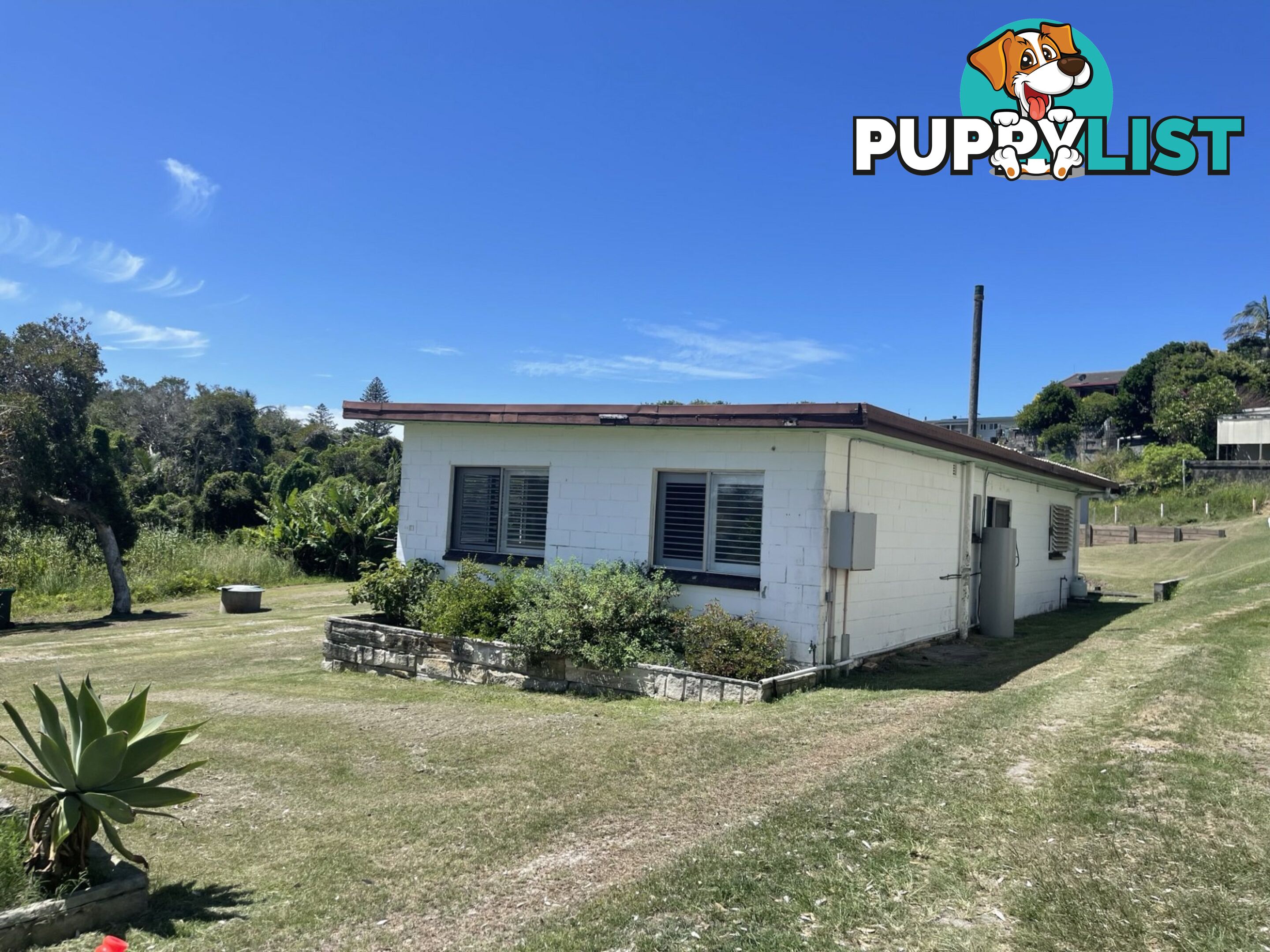 17 Poinsettia Crescent BROOMS HEAD NSW 2463