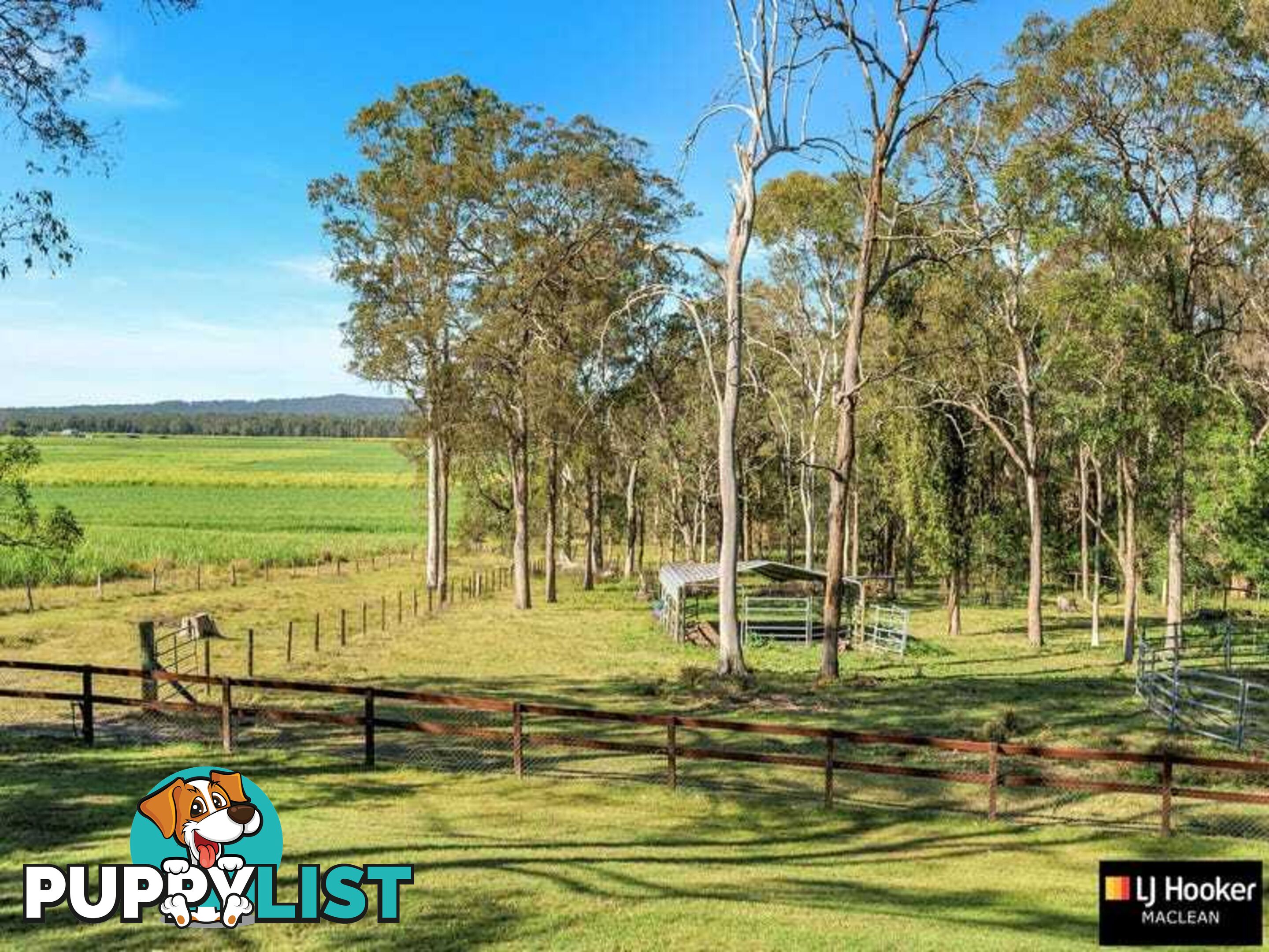 130 Fitzgeralds Lane TYNDALE NSW 2460