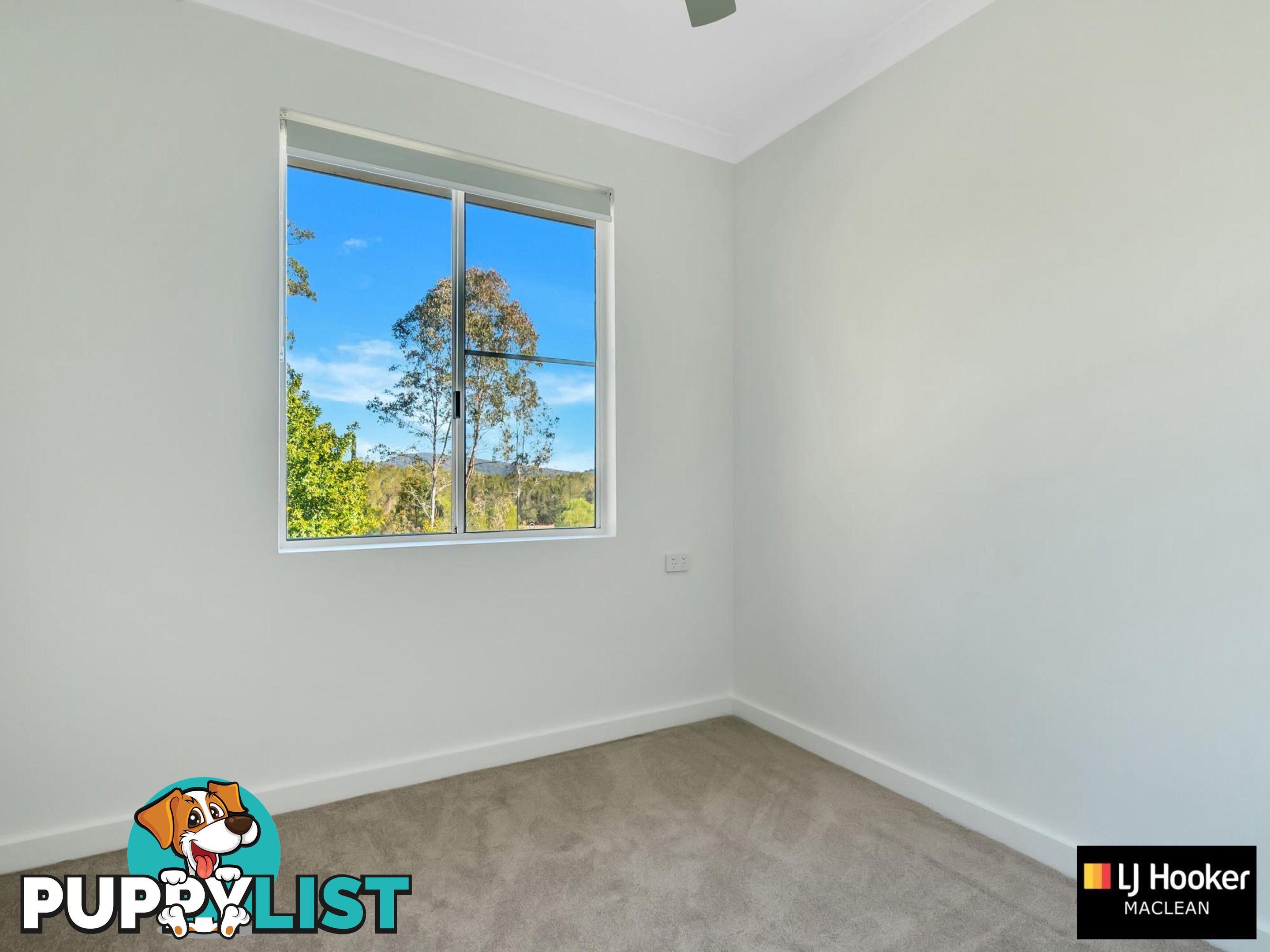 1 Clarence Street ASHBY NSW 2463