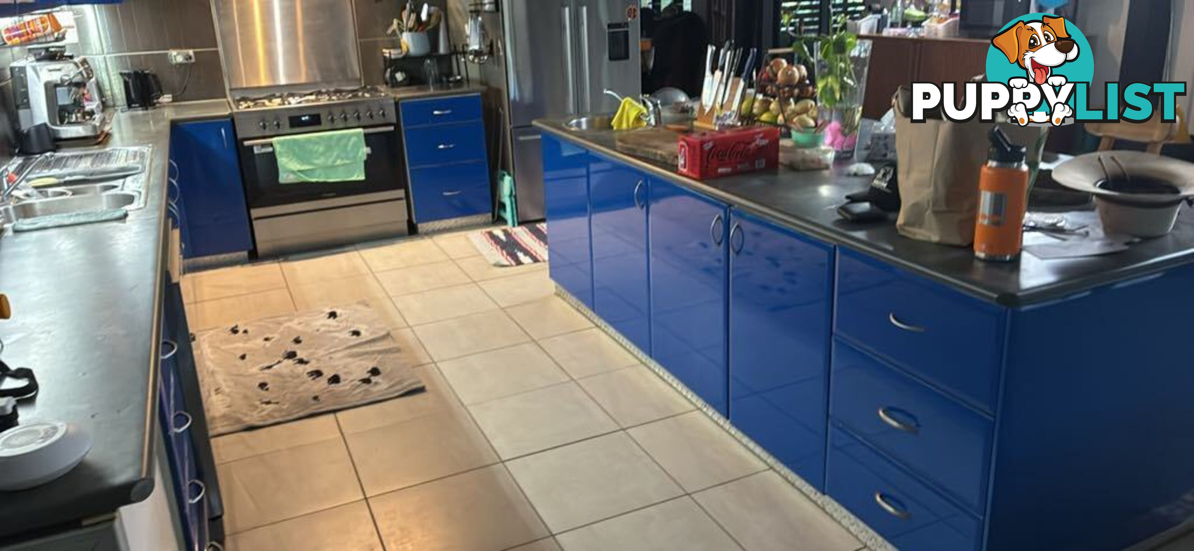 Kitchen 2 pac cupboards and benches