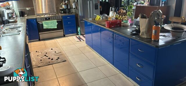 Kitchen 2 pac cupboards and benches