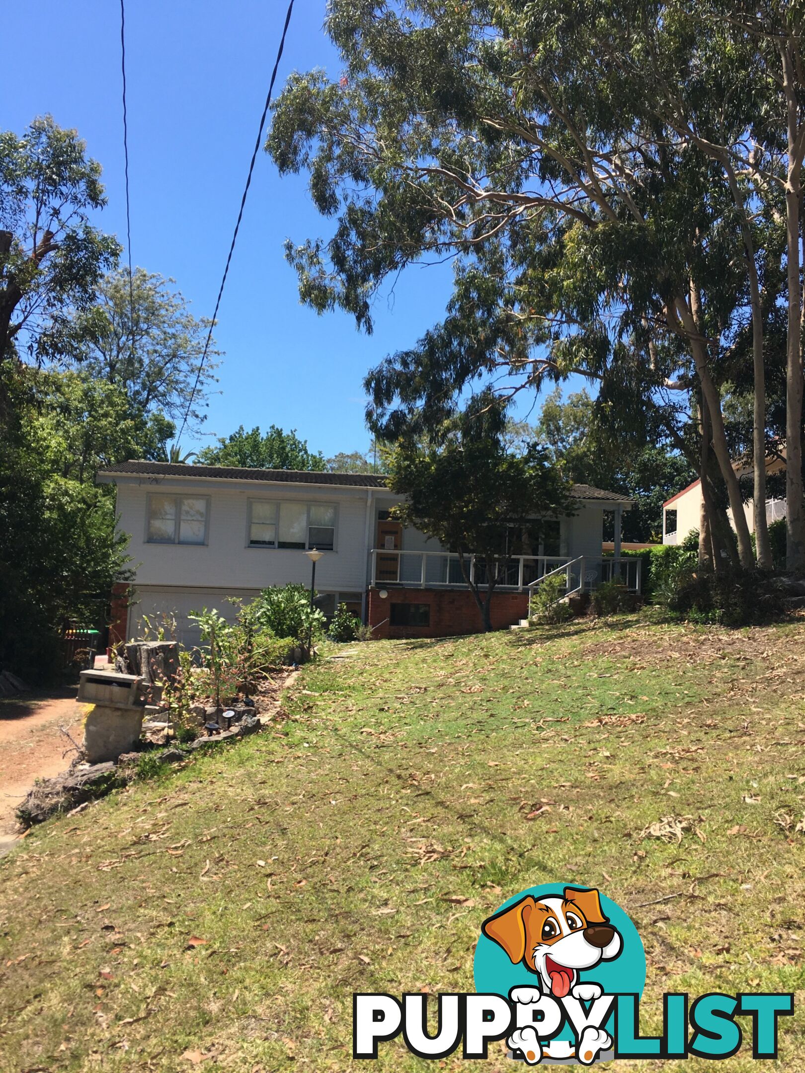 1 5 Braidwood Avenue NORTH EPPING NSW 2121