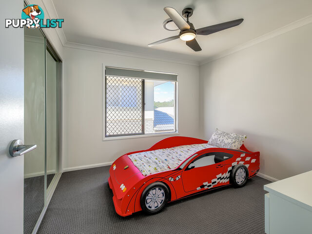 33 Koel Street PALLARA QLD 4110