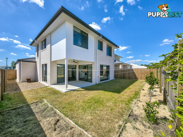 33 Koel Street PALLARA QLD 4110