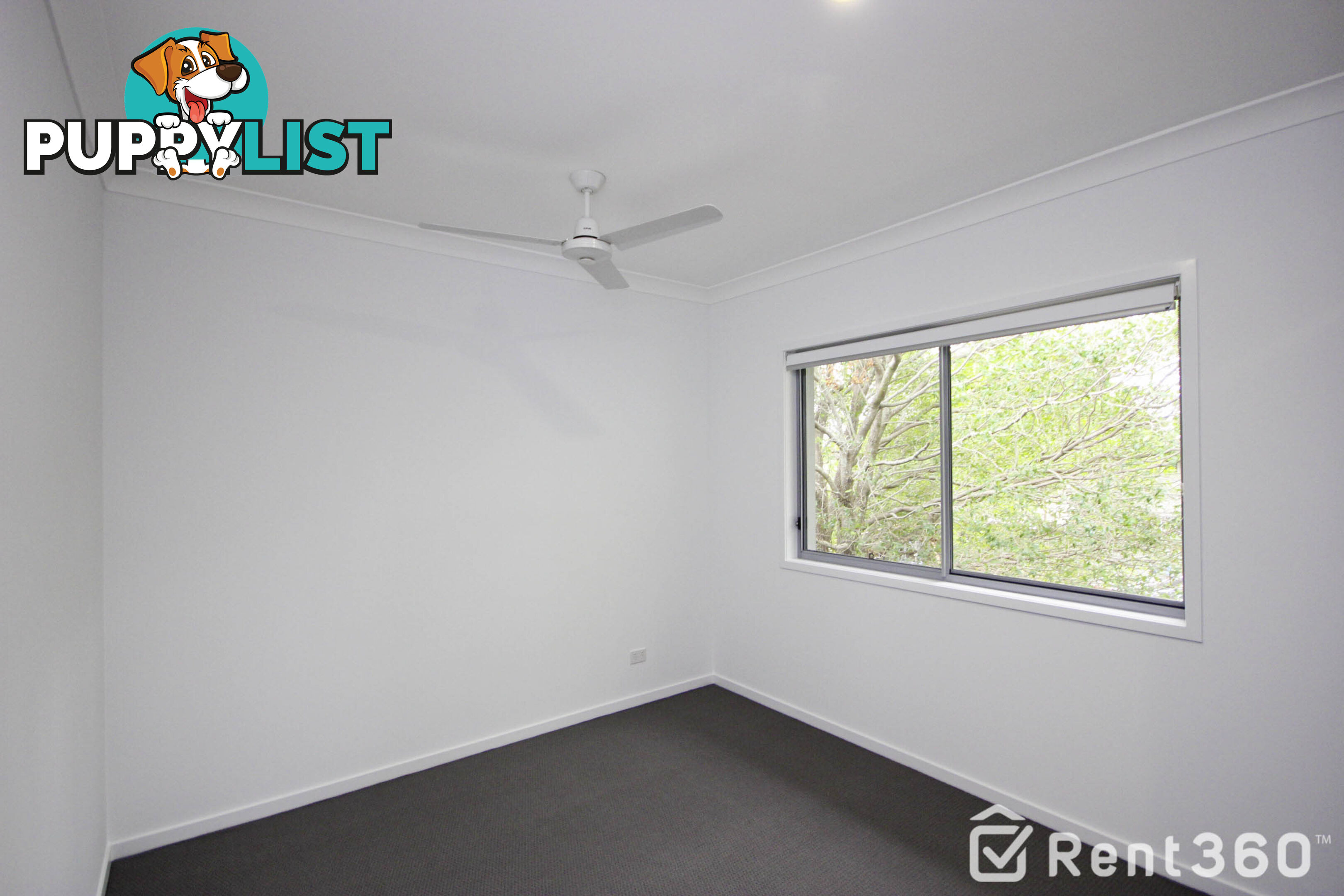 49 Cavell Street BIRKDALE QLD 4159