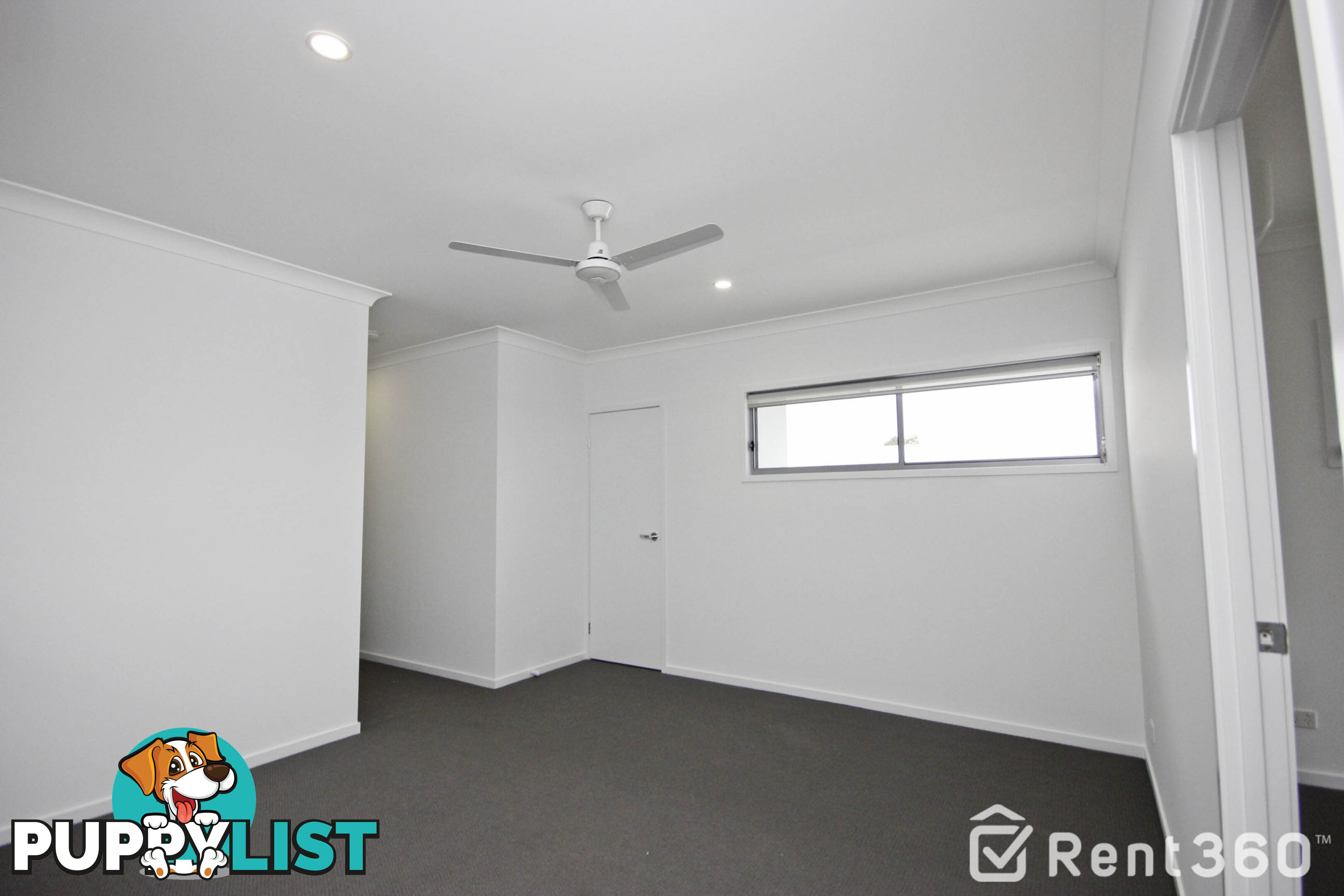 49 Cavell Street BIRKDALE QLD 4159