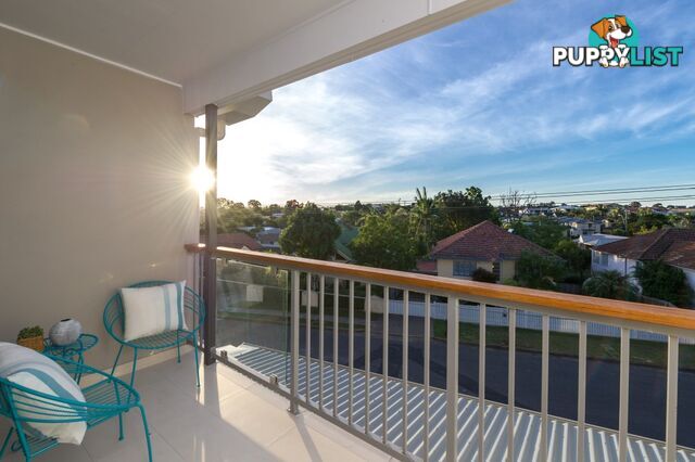 38 Newhaven Street EVERTON PARK QLD 4053