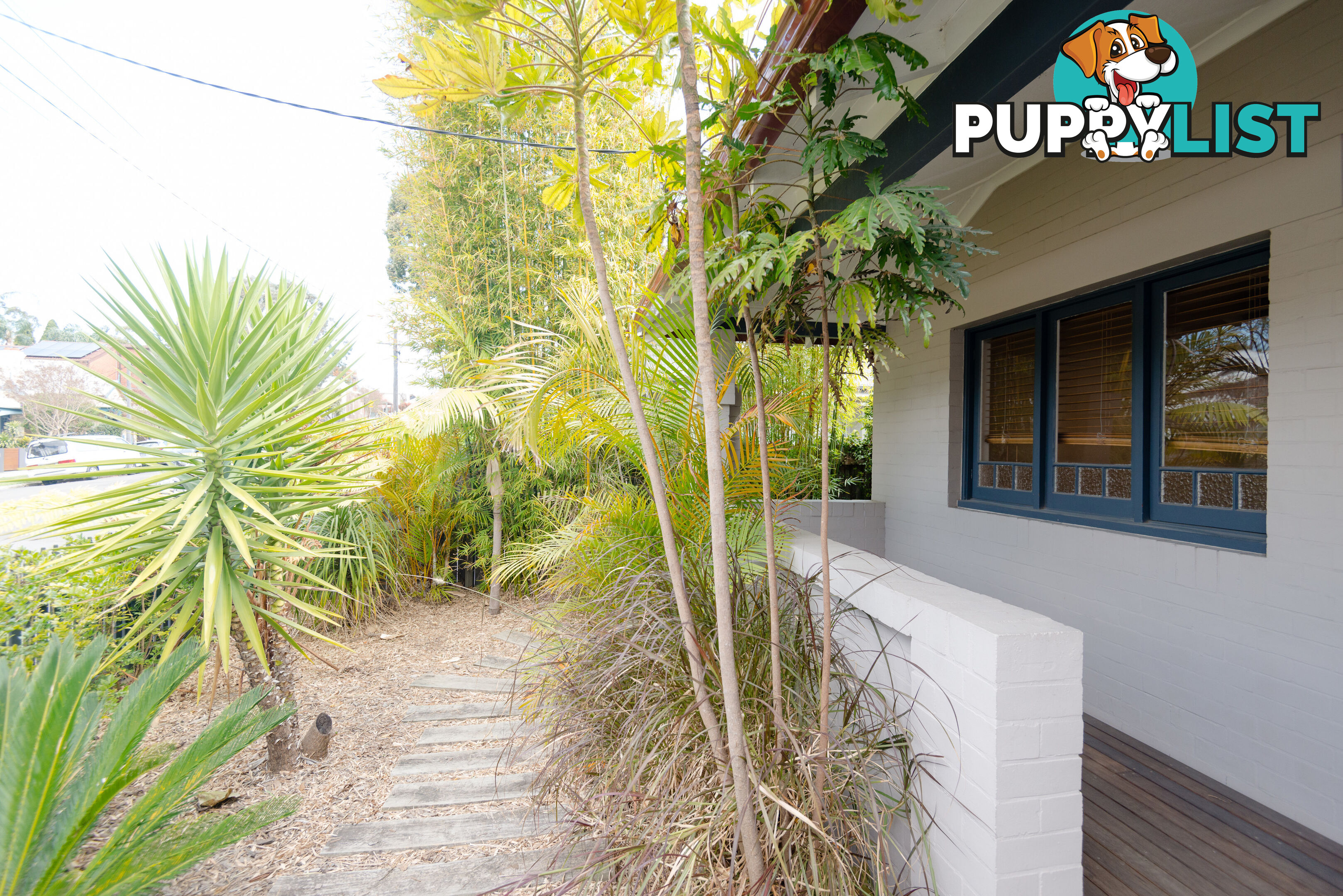 22 Ainsworth Street LILYFIELD NSW 2040