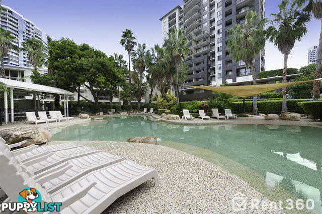 6013 46 Rotherham Street KANGAROO POINT QLD 4169