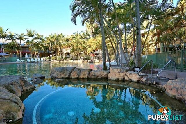 56 2320 Gold Coast Highway MERMAID BEACH QLD 4218