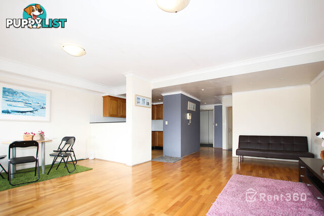 17 266 -274 Burwood Road BURWOOD NSW 2134