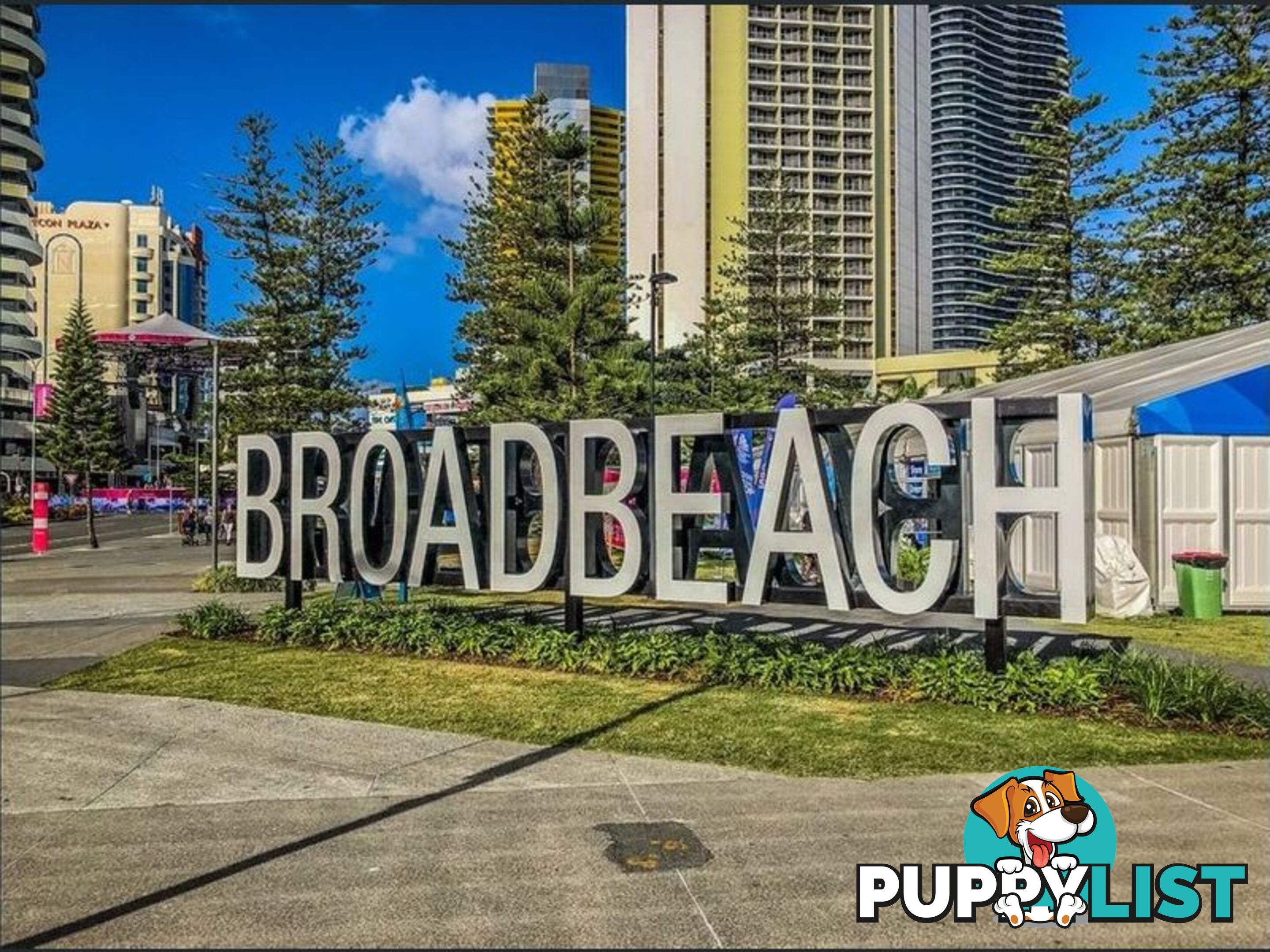 1112a 2633 Gold Coast Highway BROADBEACH QLD 4218