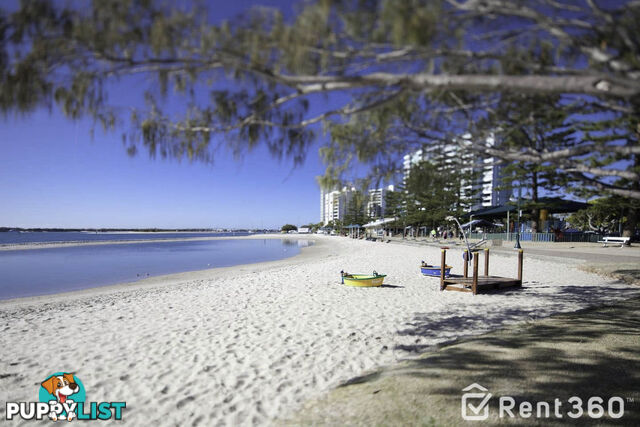 401 360 Marine Parade LABRADOR QLD 4215