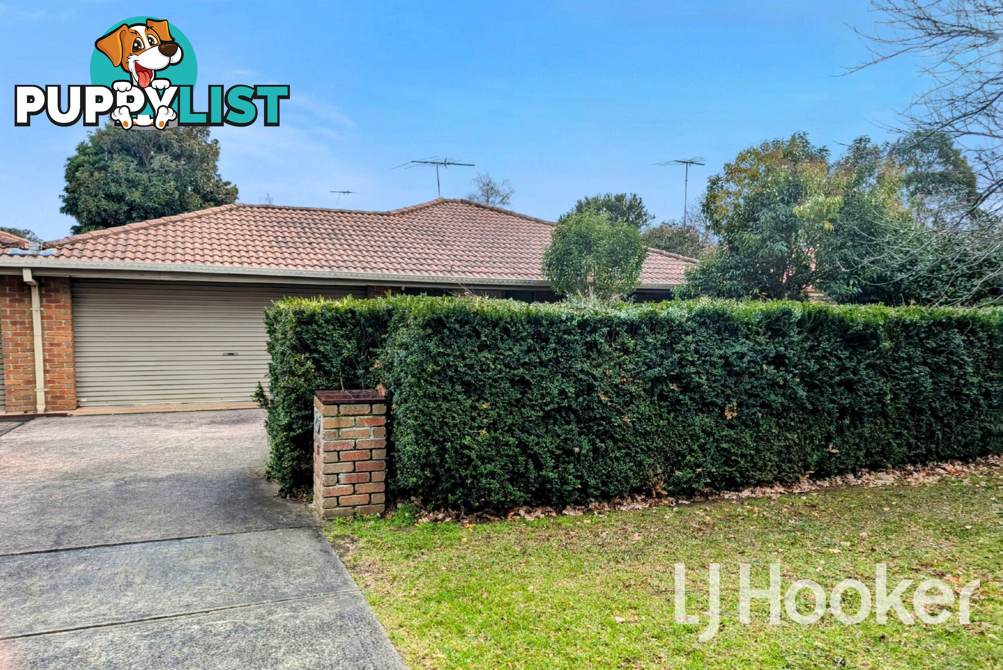 21 Rutland Road BERWICK VIC 3806