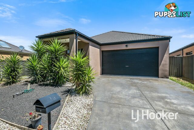 7 Downing Square PAKENHAM VIC 3810