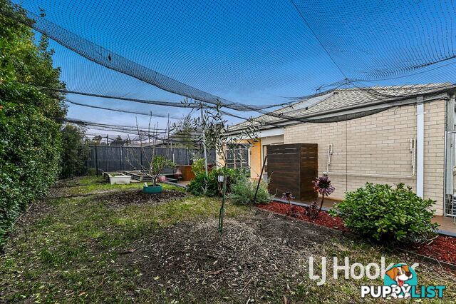 12 Violet Street BUNYIP VIC 3815