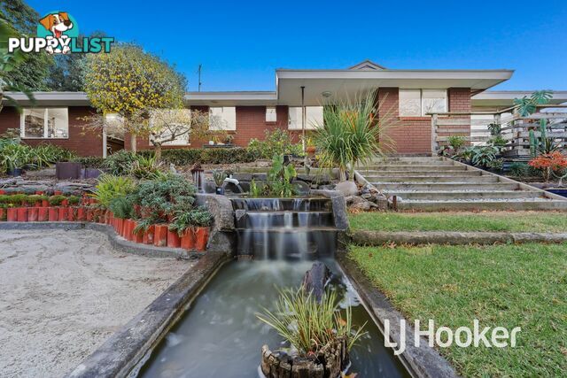 6 Waroona Court PAKENHAM VIC 3810