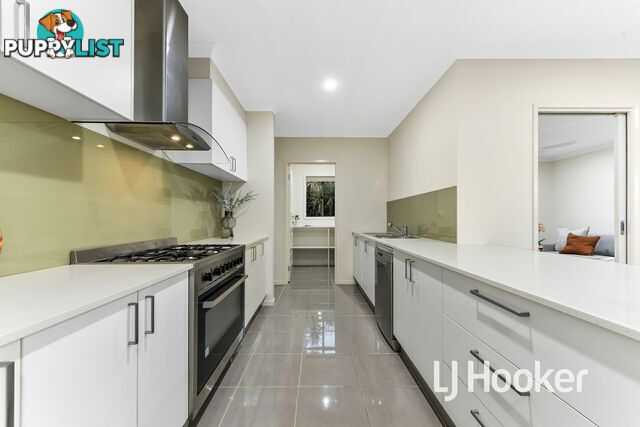 7 Powell Place PAKENHAM VIC 3810
