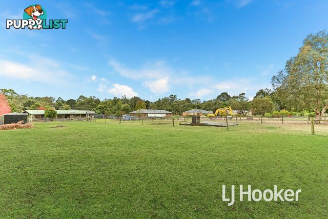104 Wattletree Road BUNYIP VIC 3815