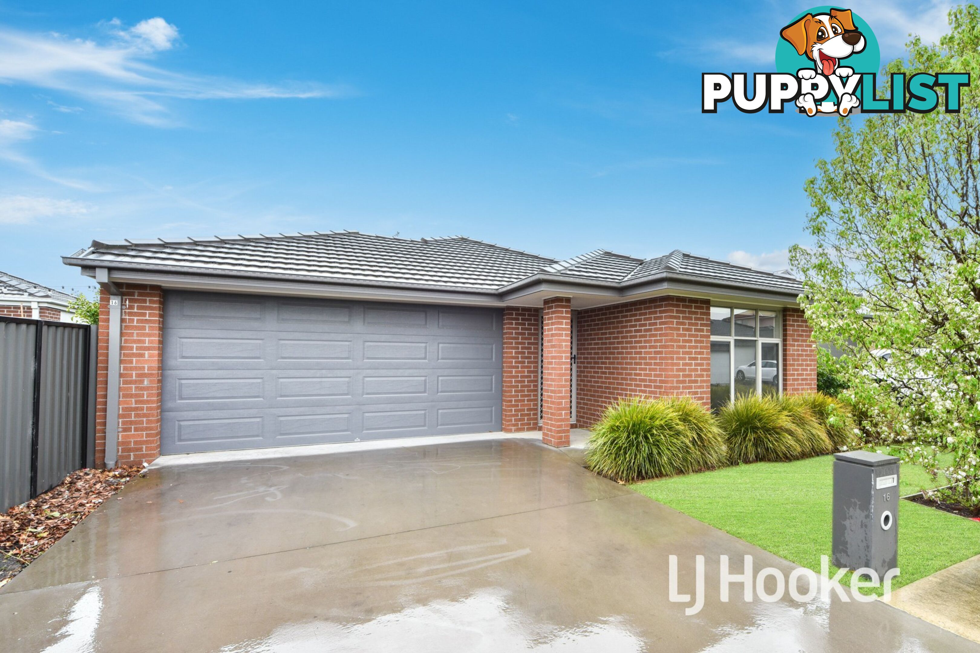 16 Hillsborough Crescent BERWICK VIC 3806