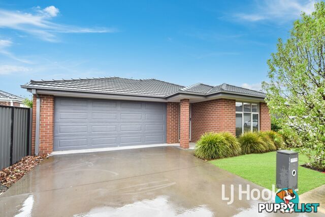 16 Hillsborough Crescent BERWICK VIC 3806